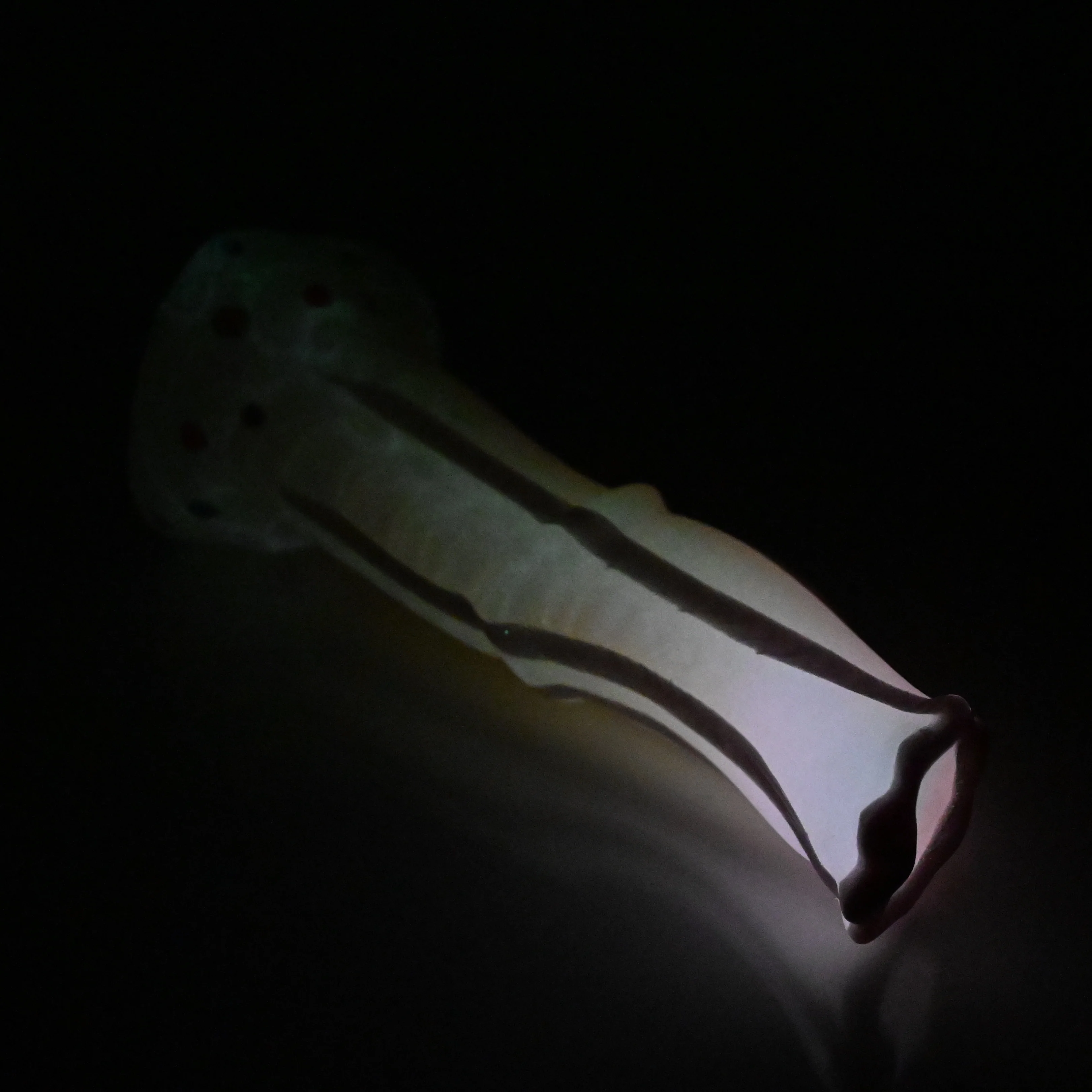 K2SDW69 Kitalpha Small 0030 UV GITD - Image 4