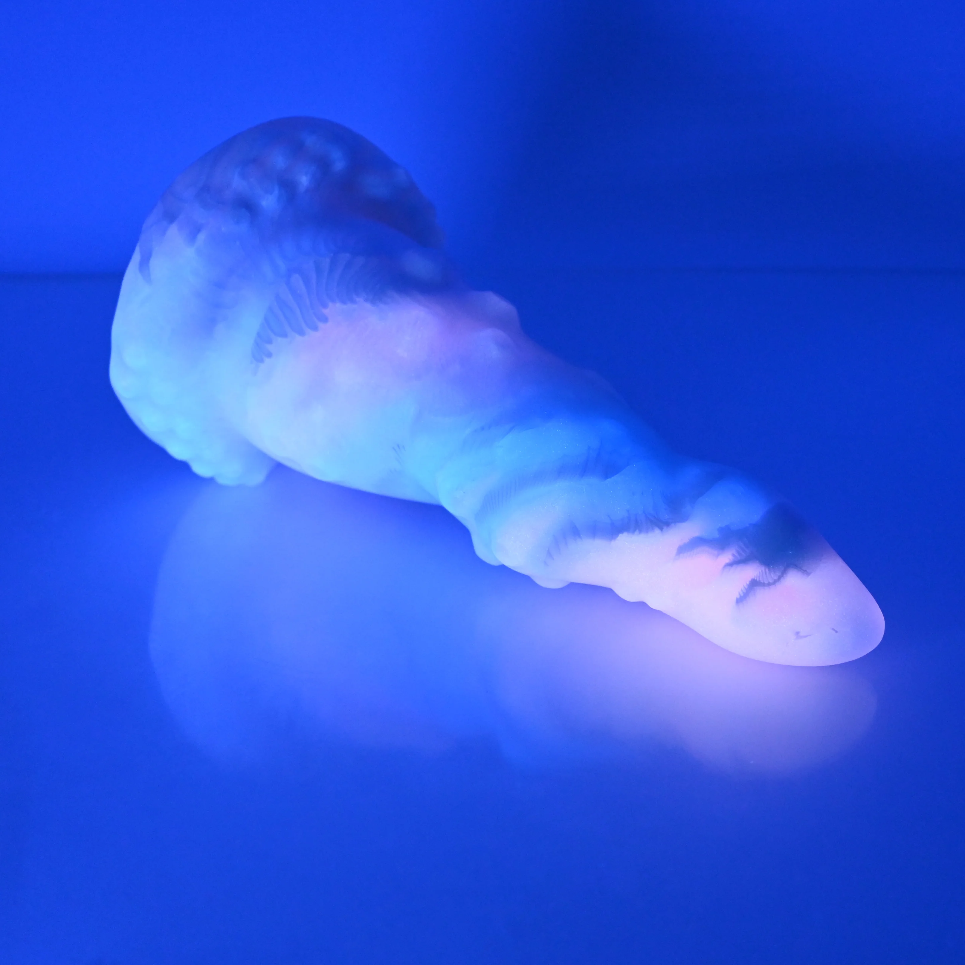 N3TCG87 Nereid Medium NC 0031 UV GITD - Image 3