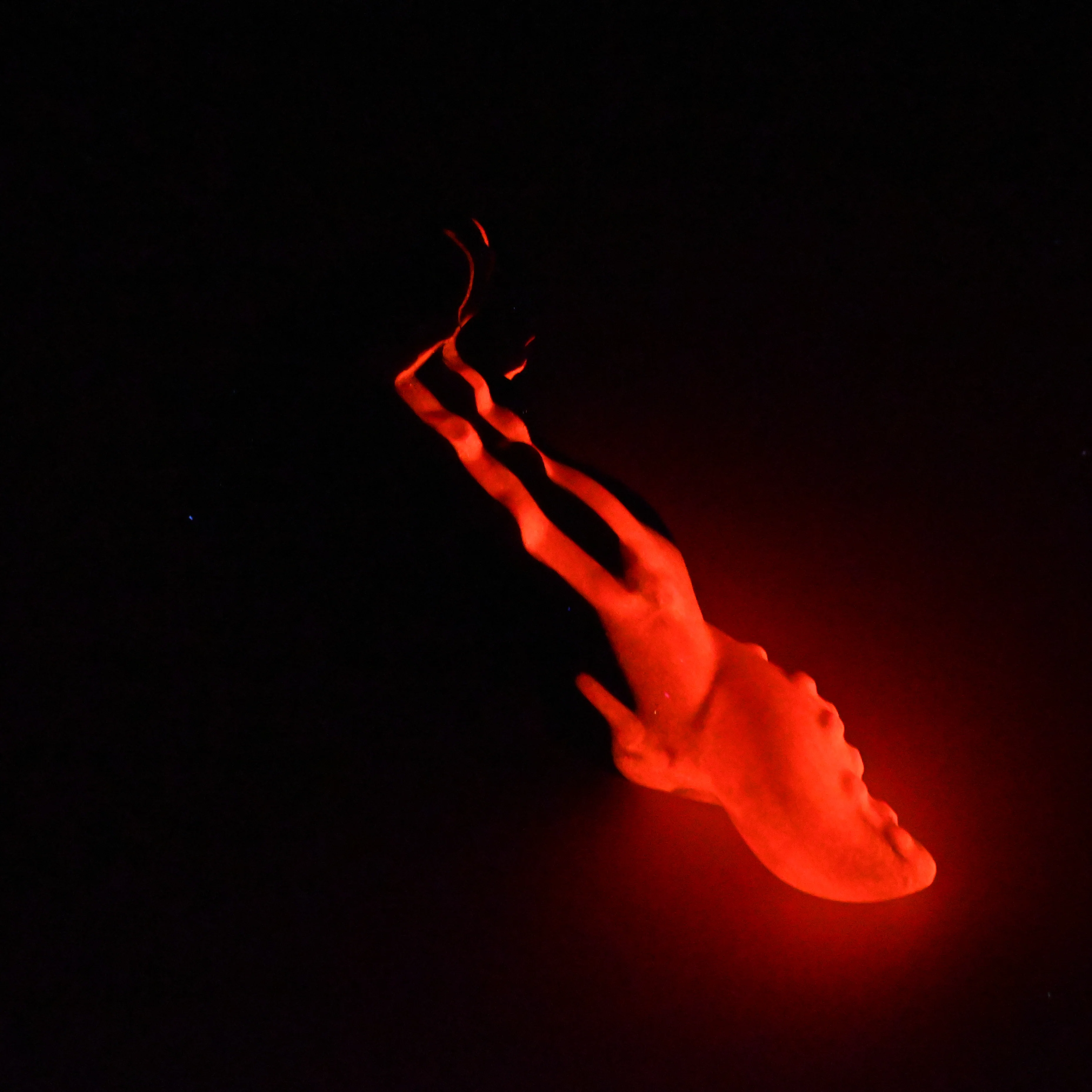 N3MHH31^ Nereid Medium 0050 UV GITD GHPA - Image 4