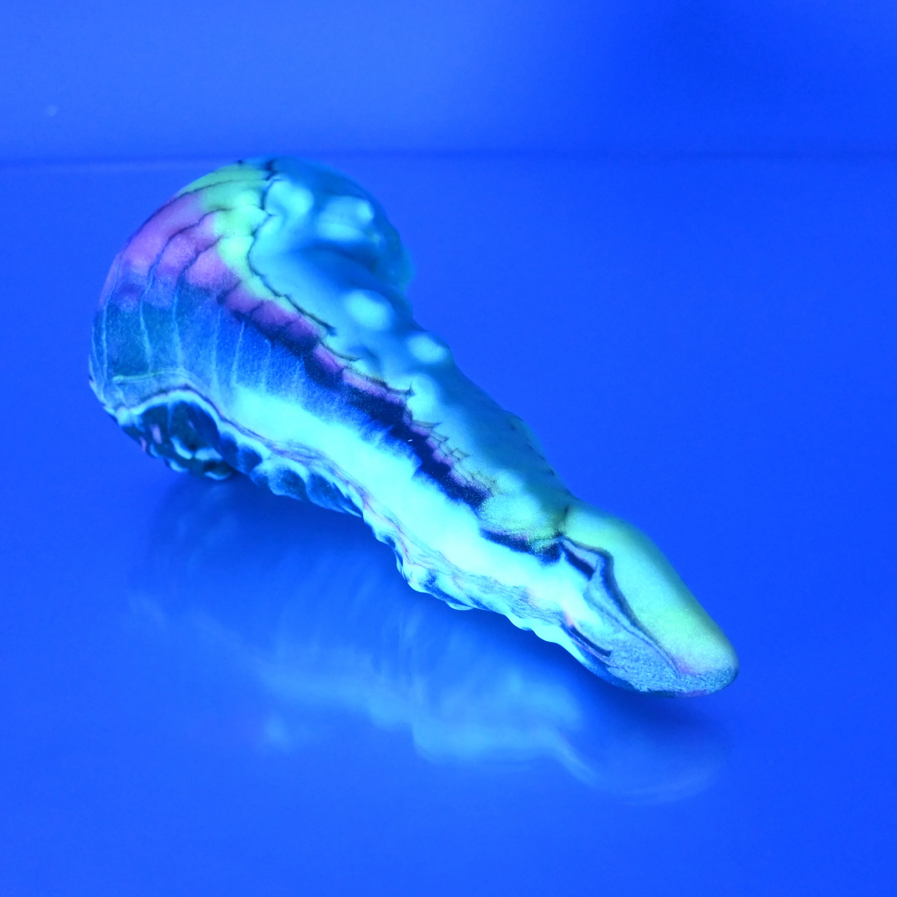N1MCA52 Nereid Mini 0050 UV GITD - Image 3