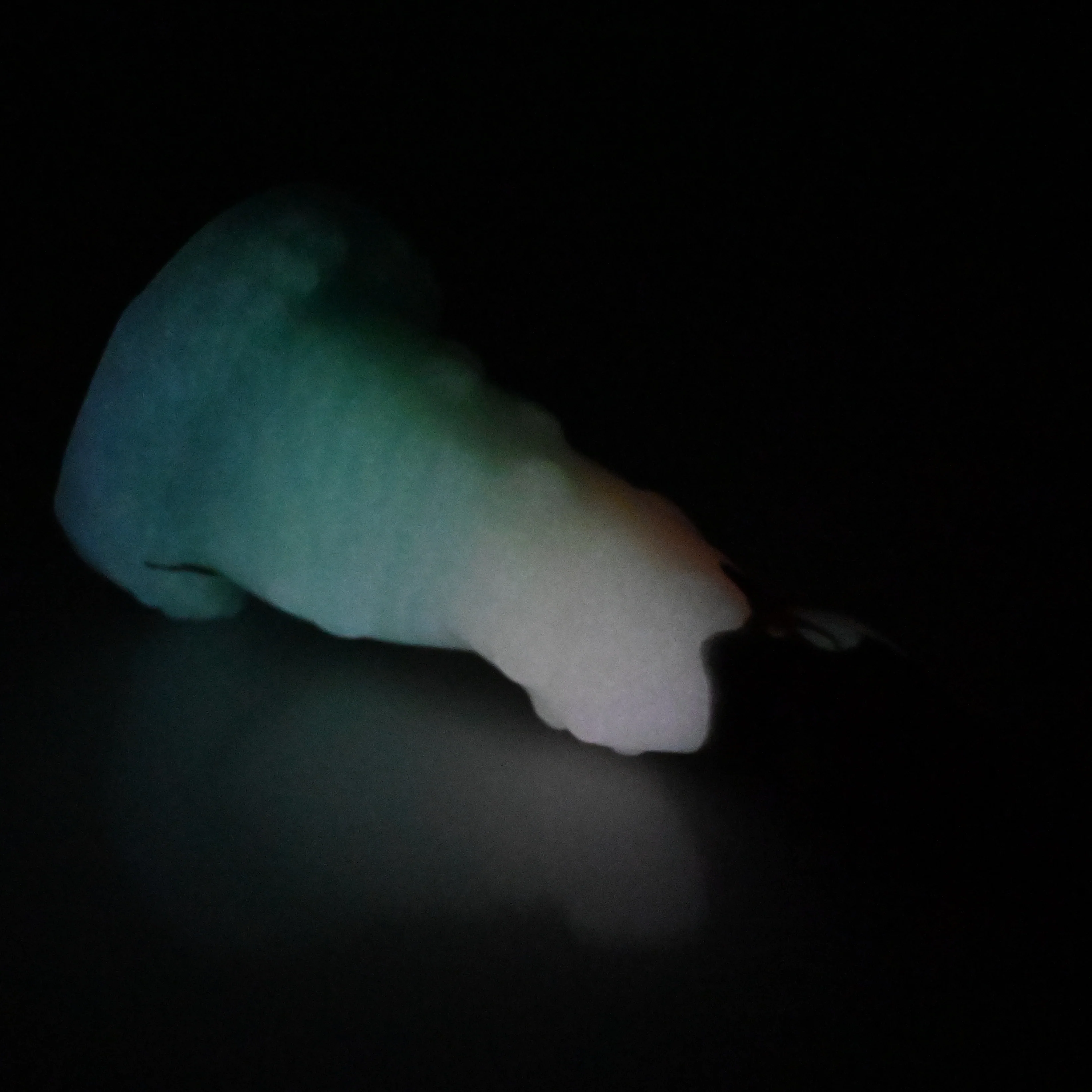 N1SDV35 Nereid Mini 0030 UV GITD CS - Image 4