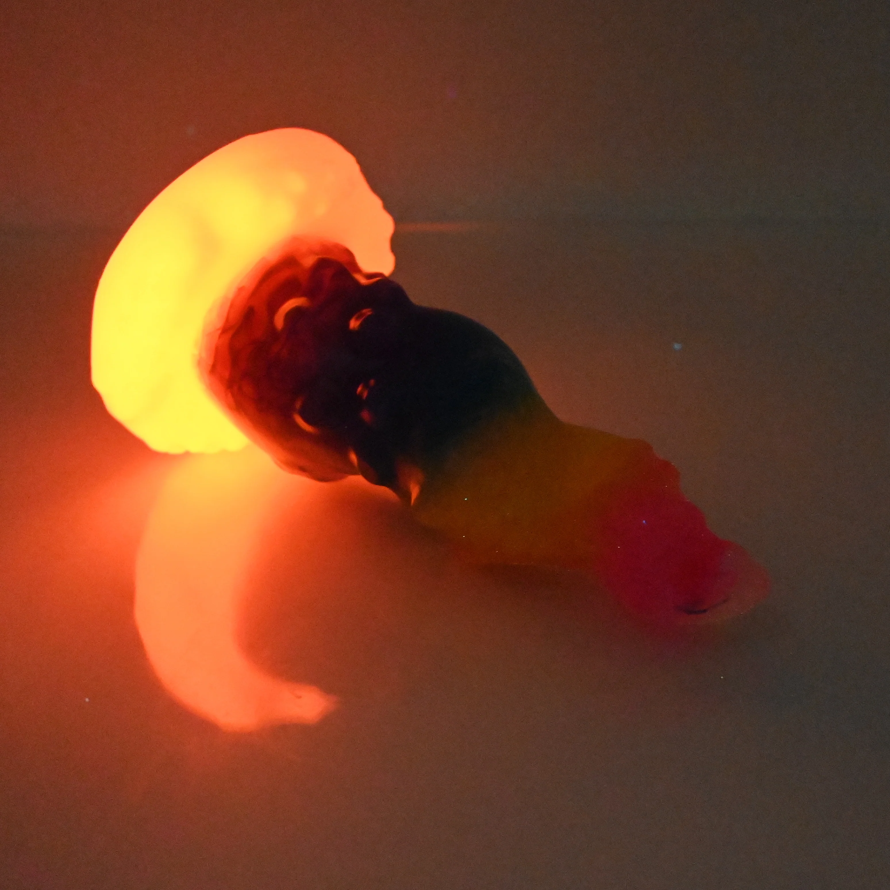 N2TCD92 Nereid Small NC 0031 UV GITD - Image 4