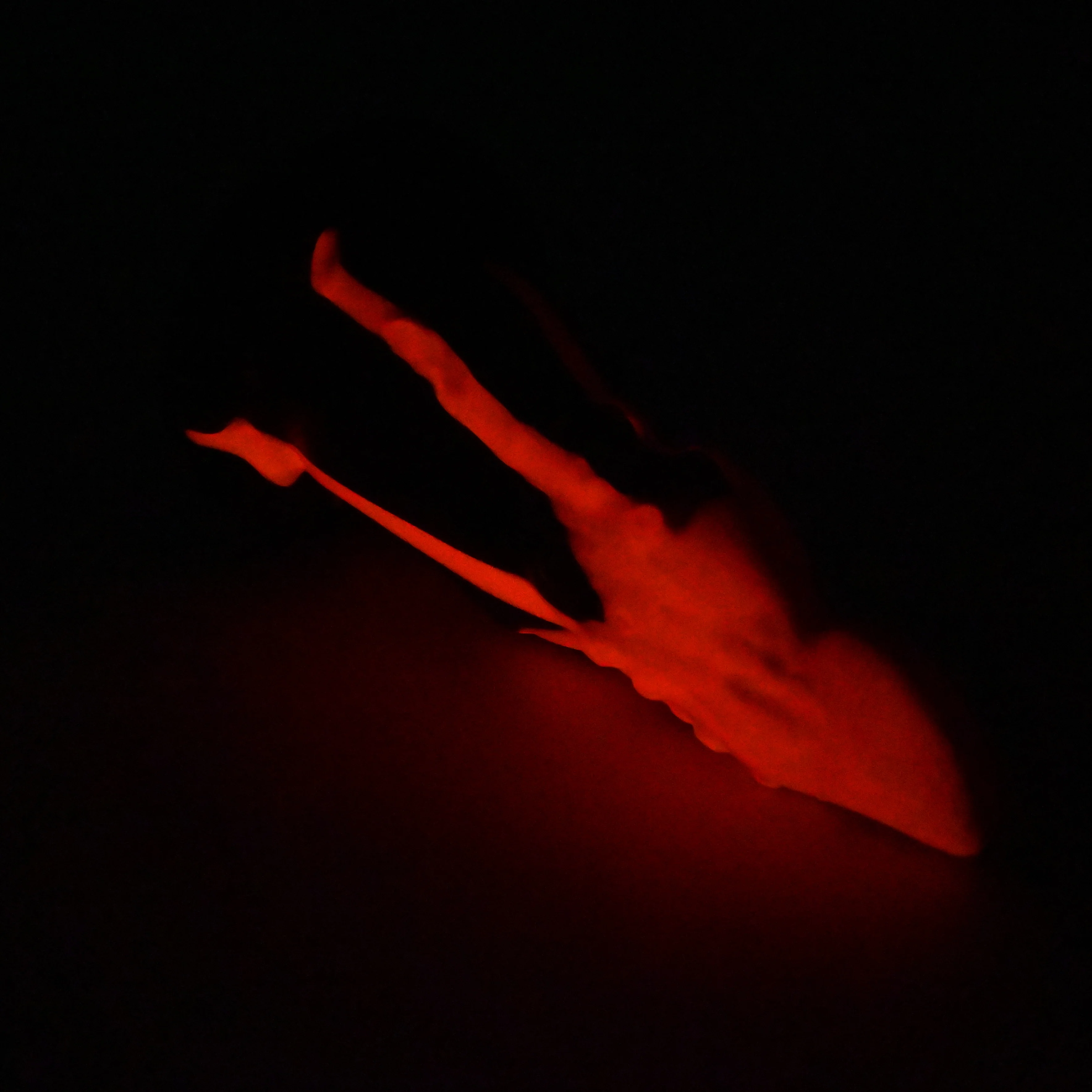 N2MFS65 Nereid Small 0050 UV GITD - Image 4