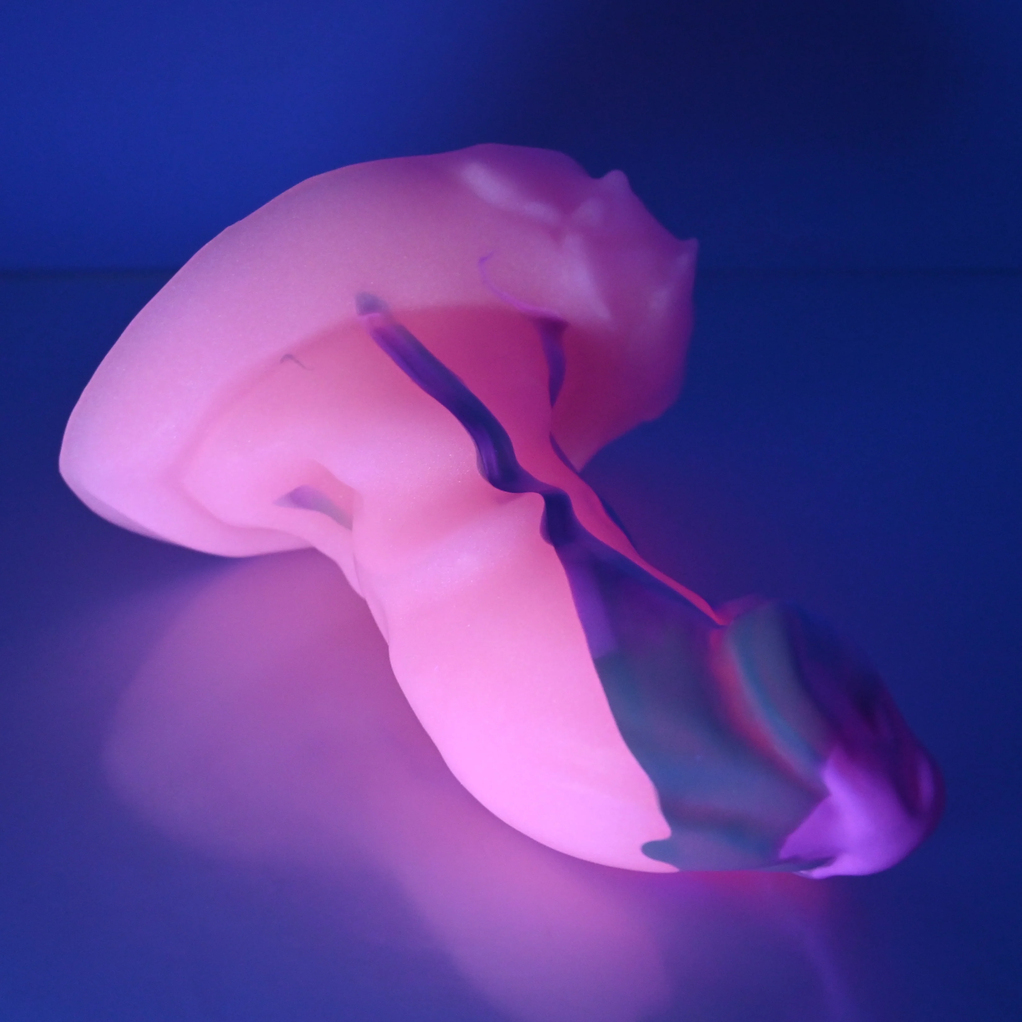 R3XEU50 Oberon Medium 0020 UV GITD - Image 3