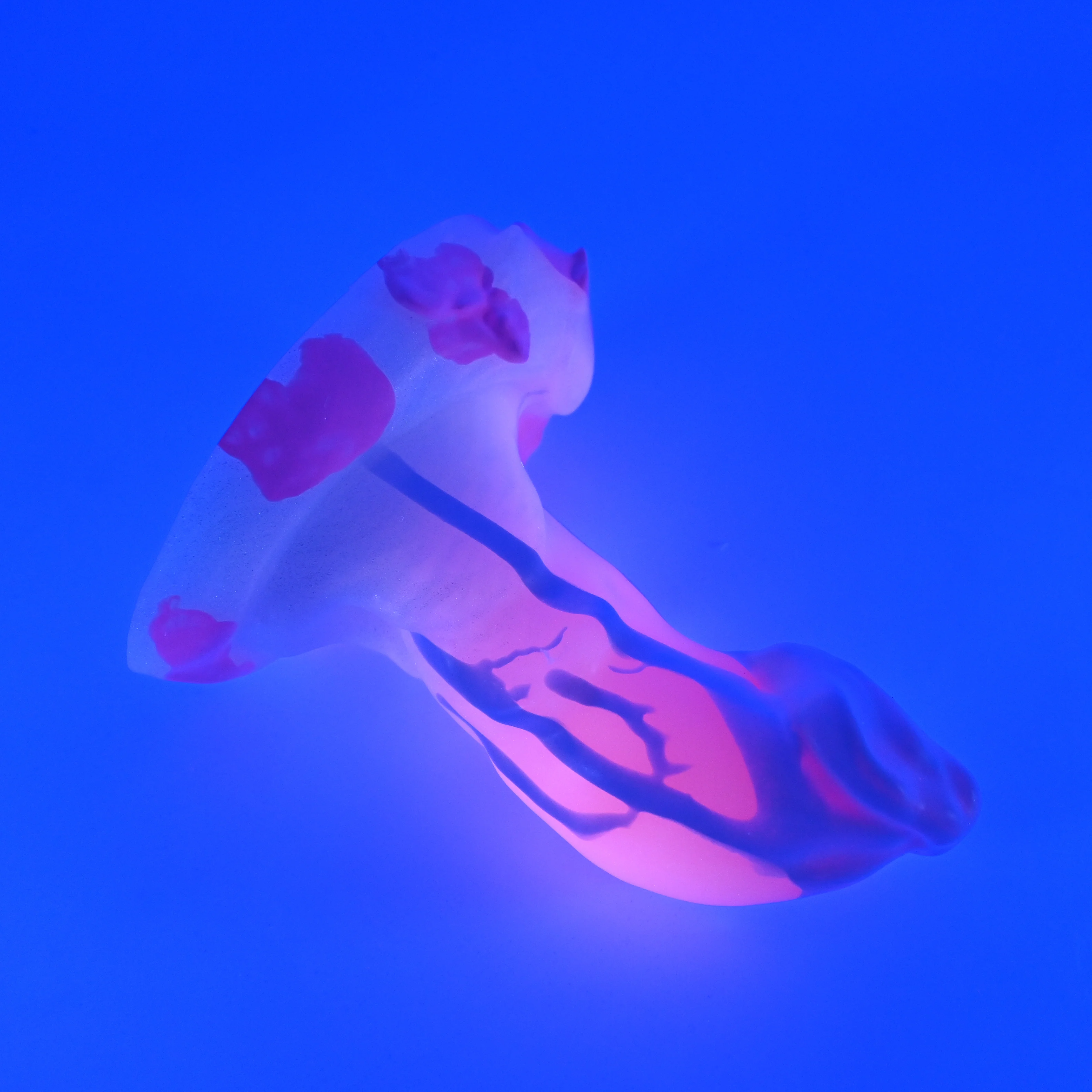 R3SHM87 Oberon Medium 0030 UV GITD GHU - Image 3
