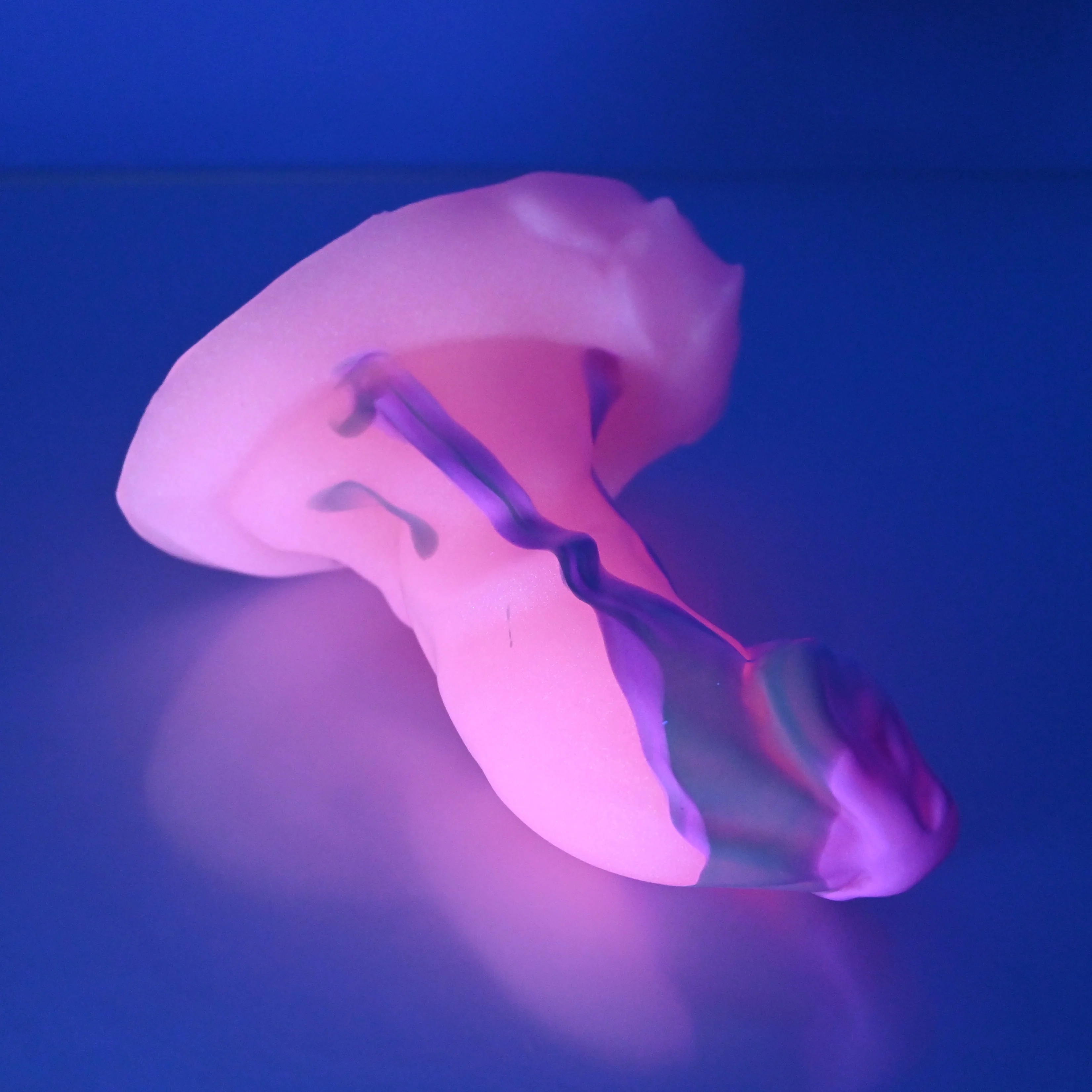 R1XEU48 Oberon Mini 0020 UV GITD *FLOP* - Image 3