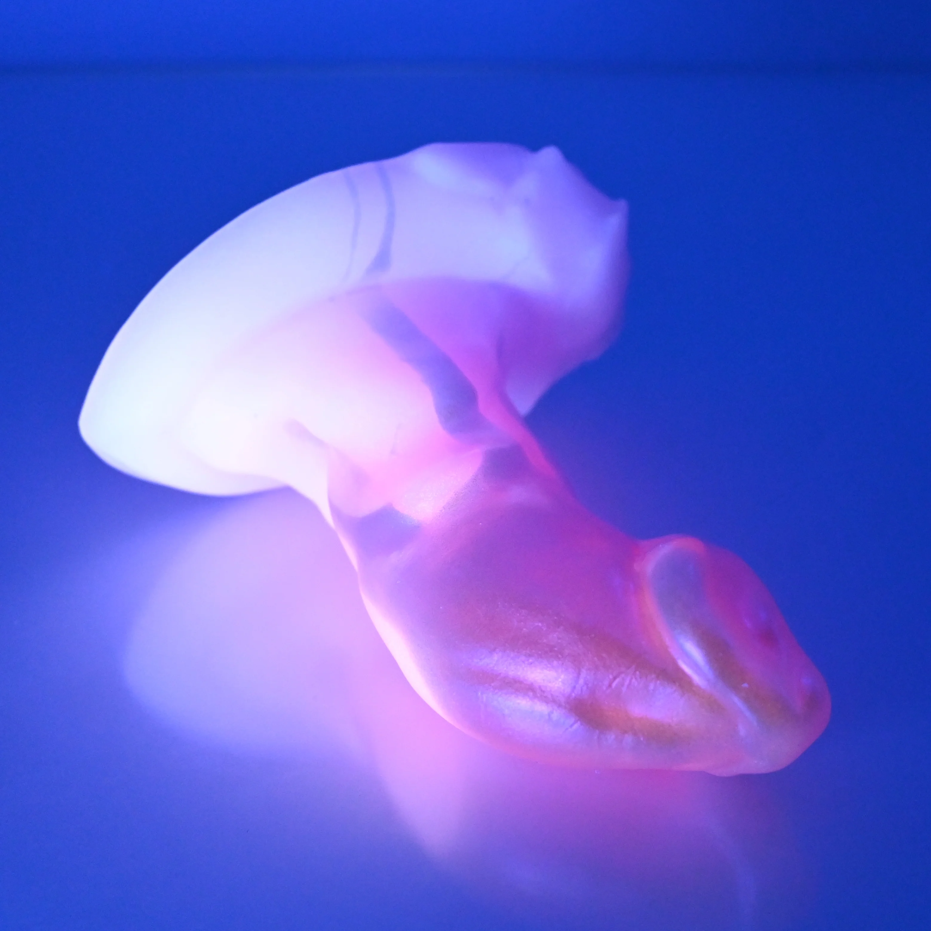 R1SFK69 Oberon Mini 0030 UV GITD - Image 3