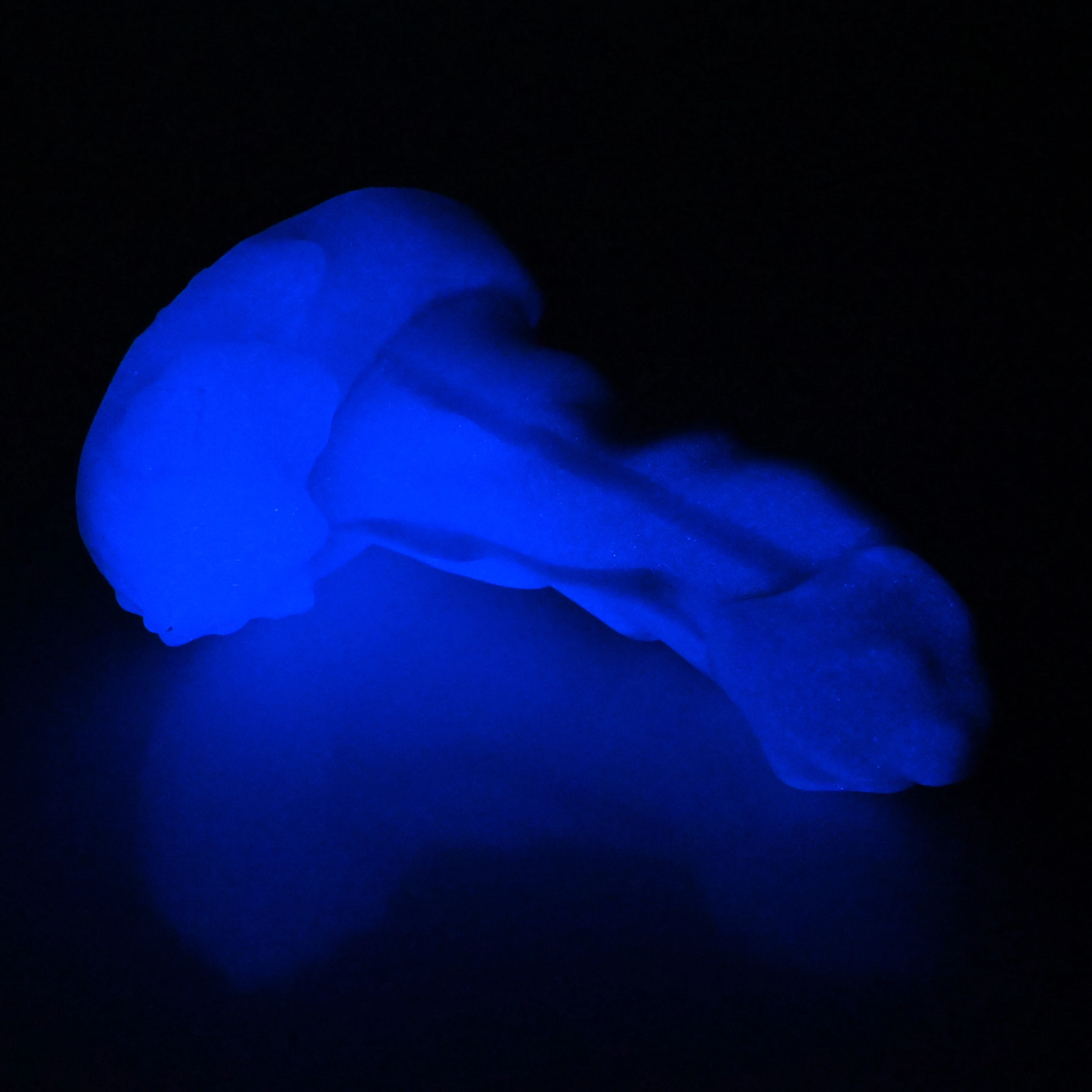 R2MEA15 Oberon Small 0050 UV GITD CS - Image 4