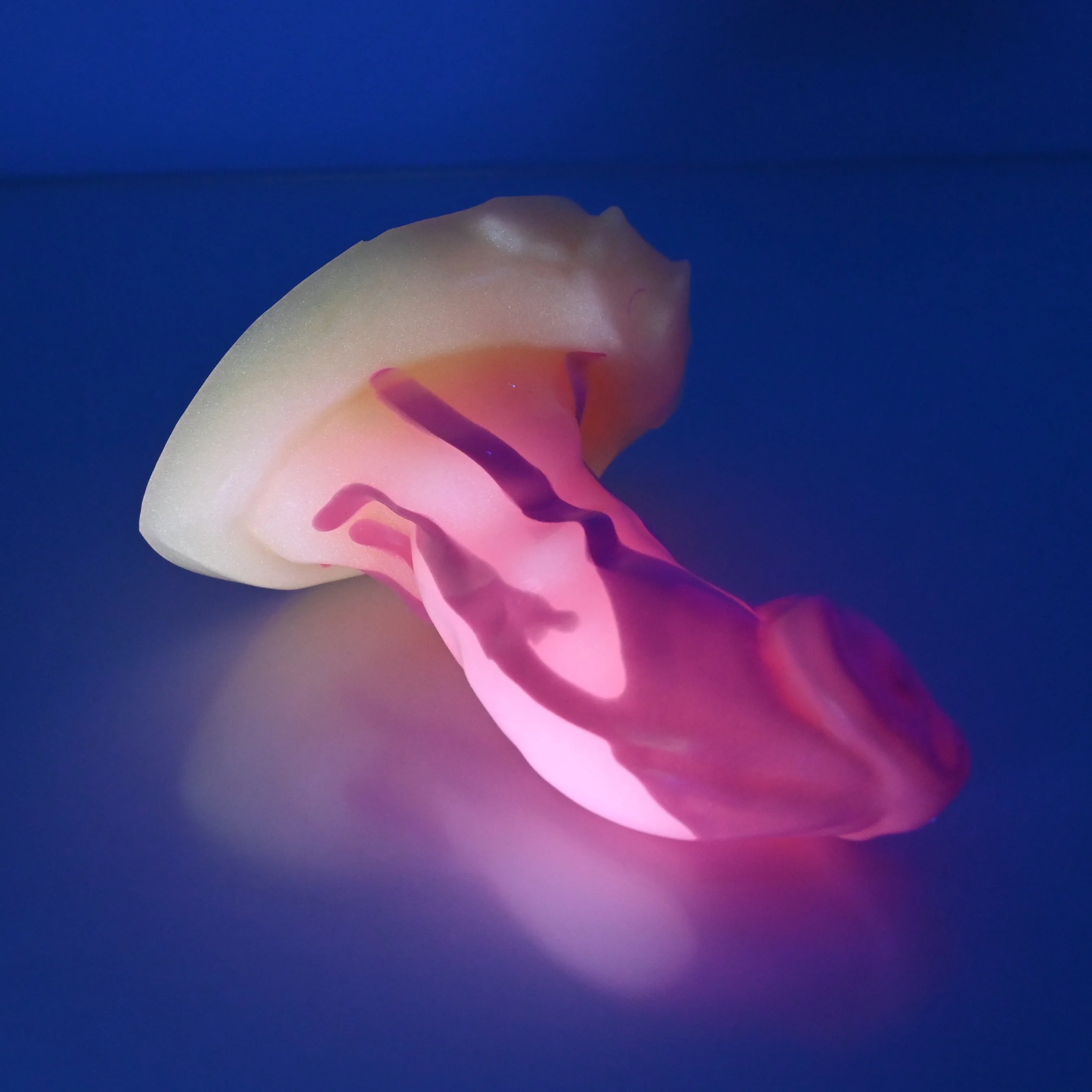 R2XFB02 Oberon Small 0020 UV GITD - Image 3