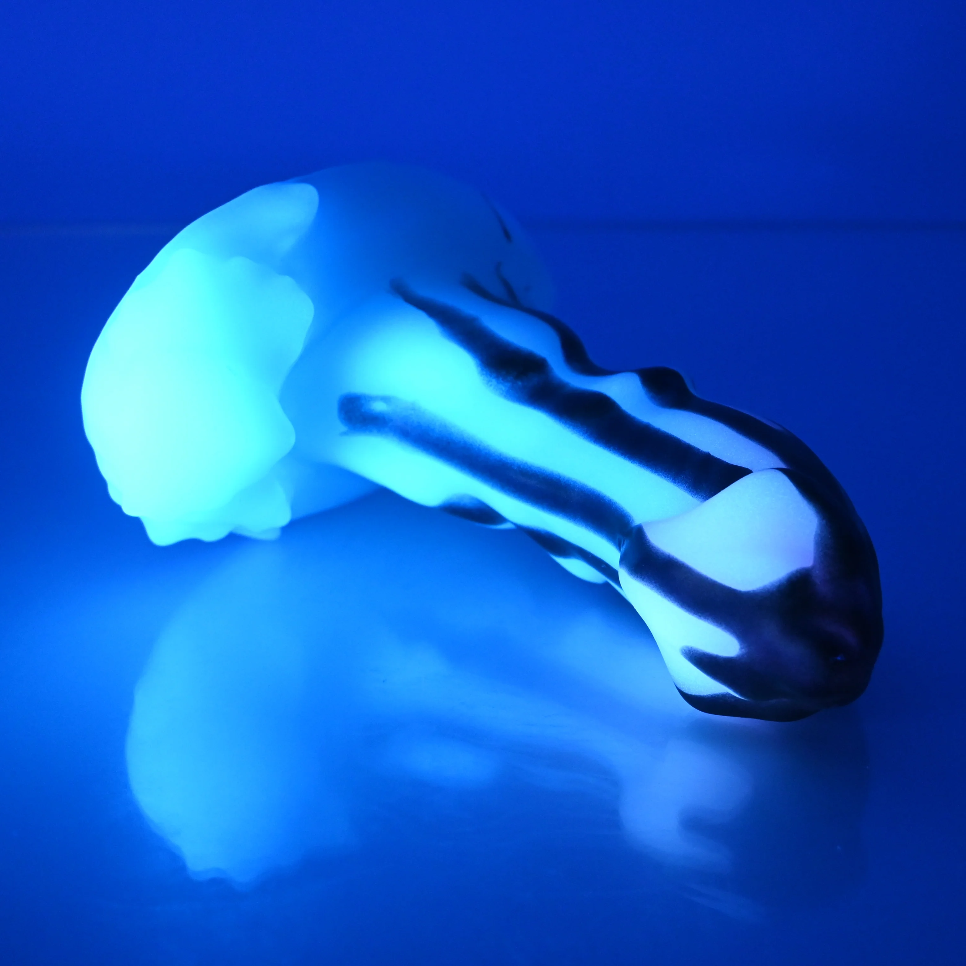 R2SDB55 Oberon Small 0030 CS UV GITD - Image 3