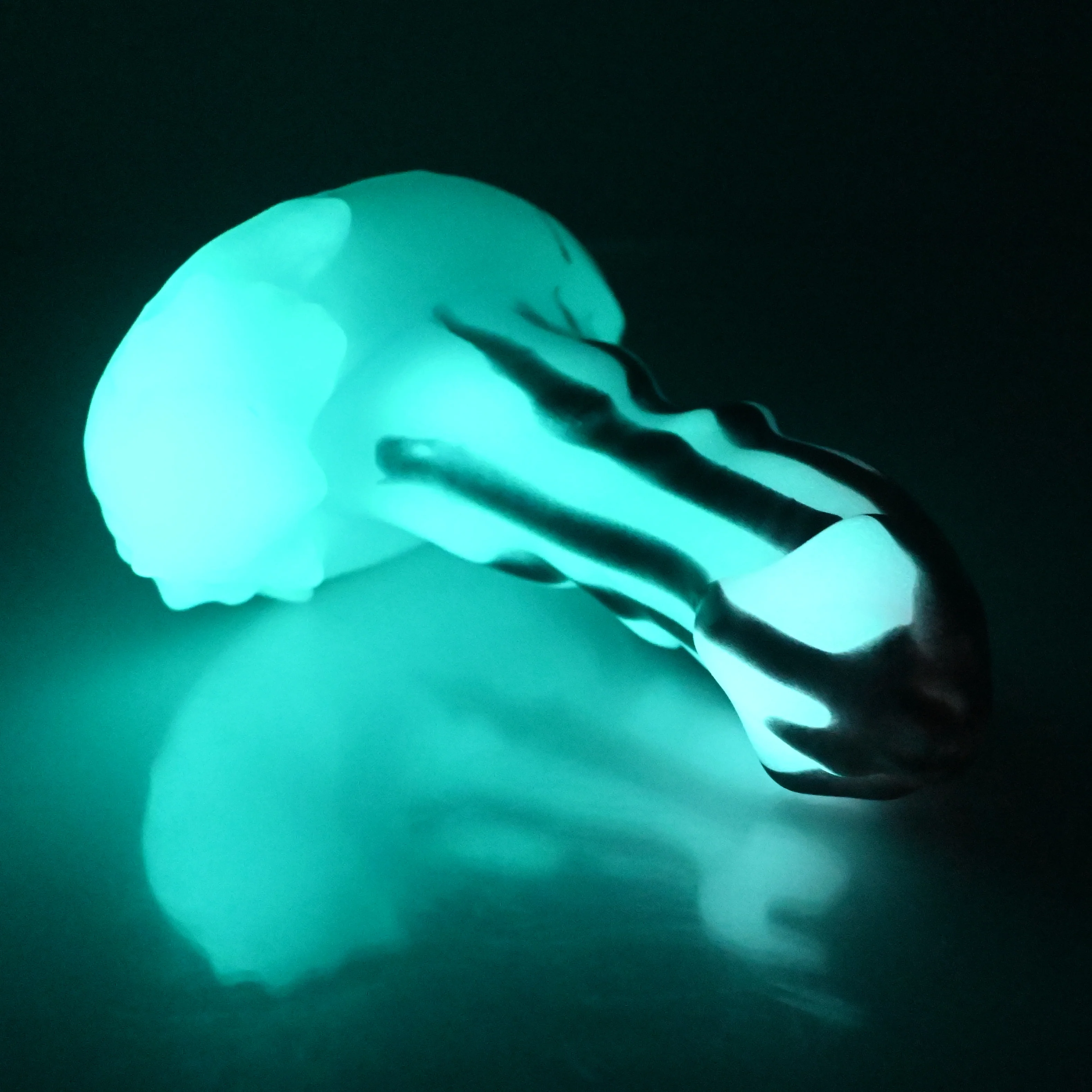 R2SDB55 Oberon Small 0030 CS UV GITD - Image 4