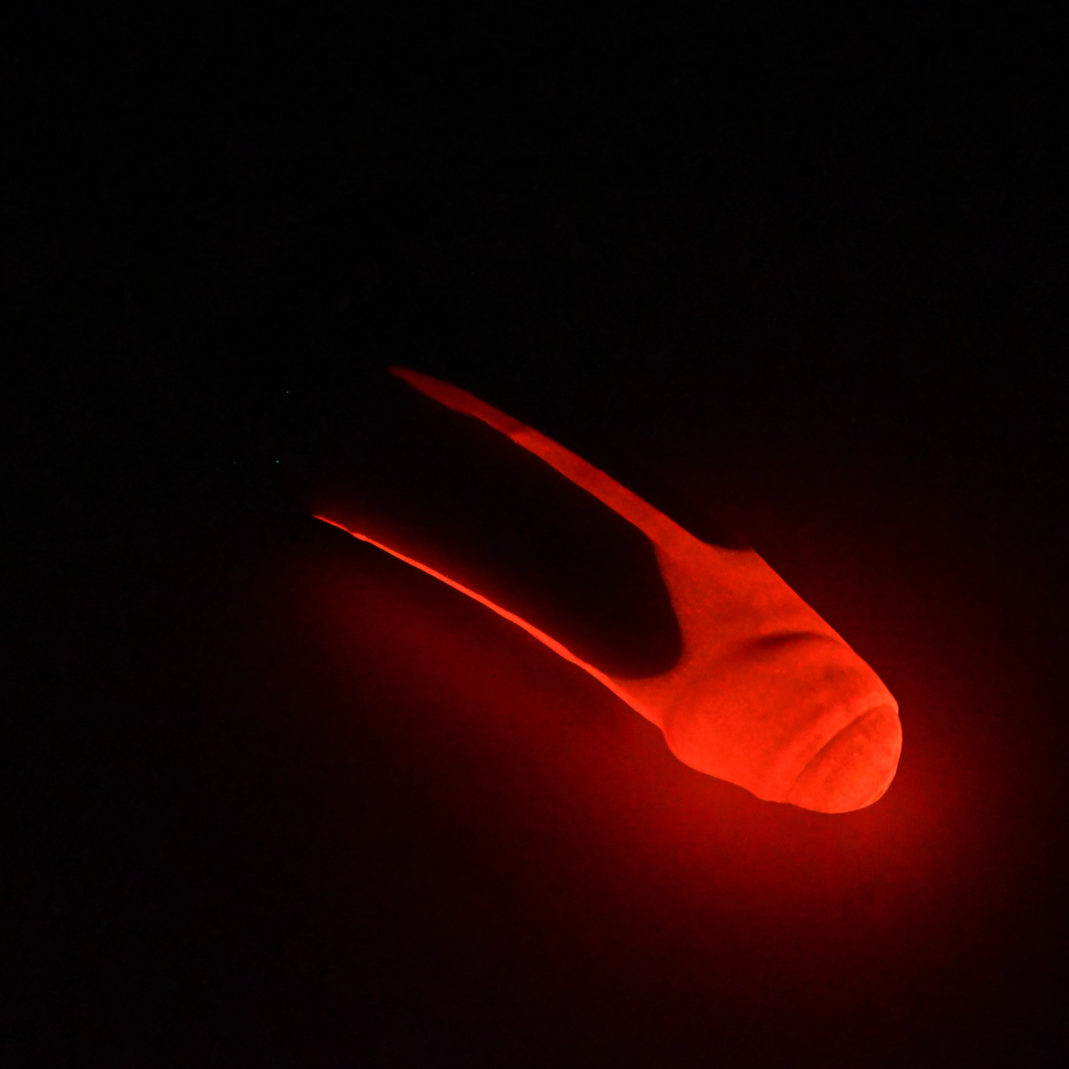 R3SJK03 Orion Medium 0030 UV GITD - Image 4