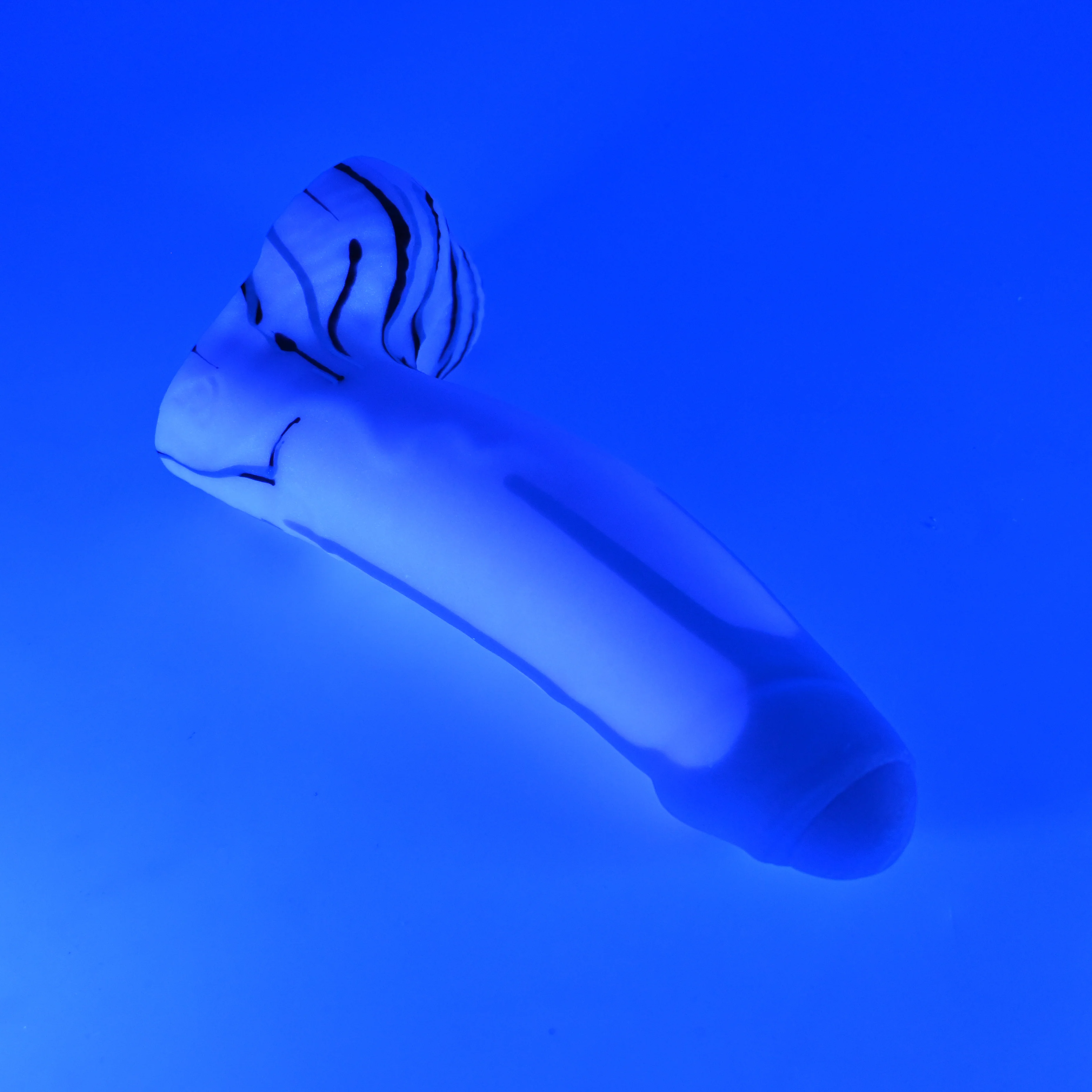 R3SJM02 Orion Medium 0030 UV GITD - Image 3