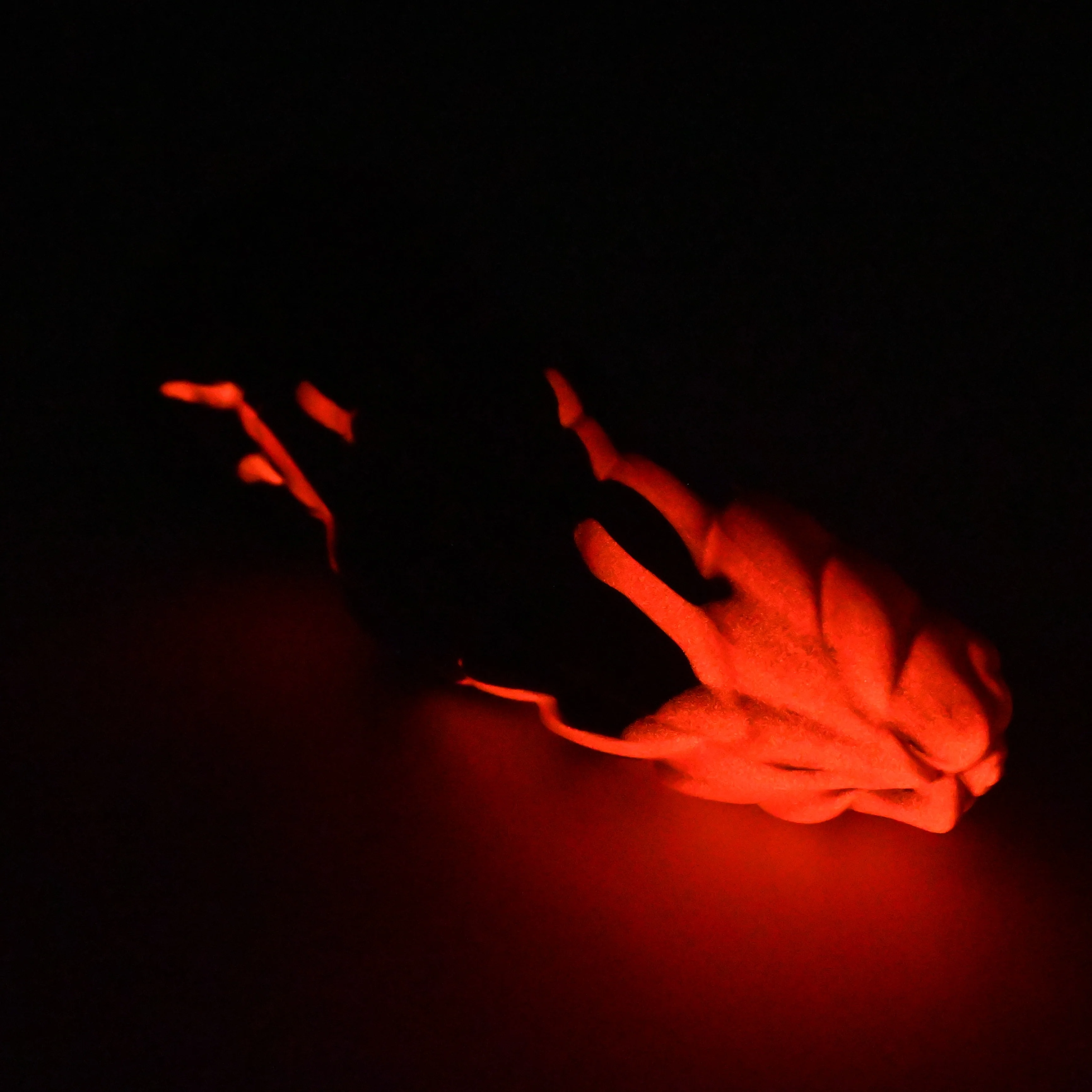 P3MGS01 Pluto Medium 0050 UV GITD - Image 4