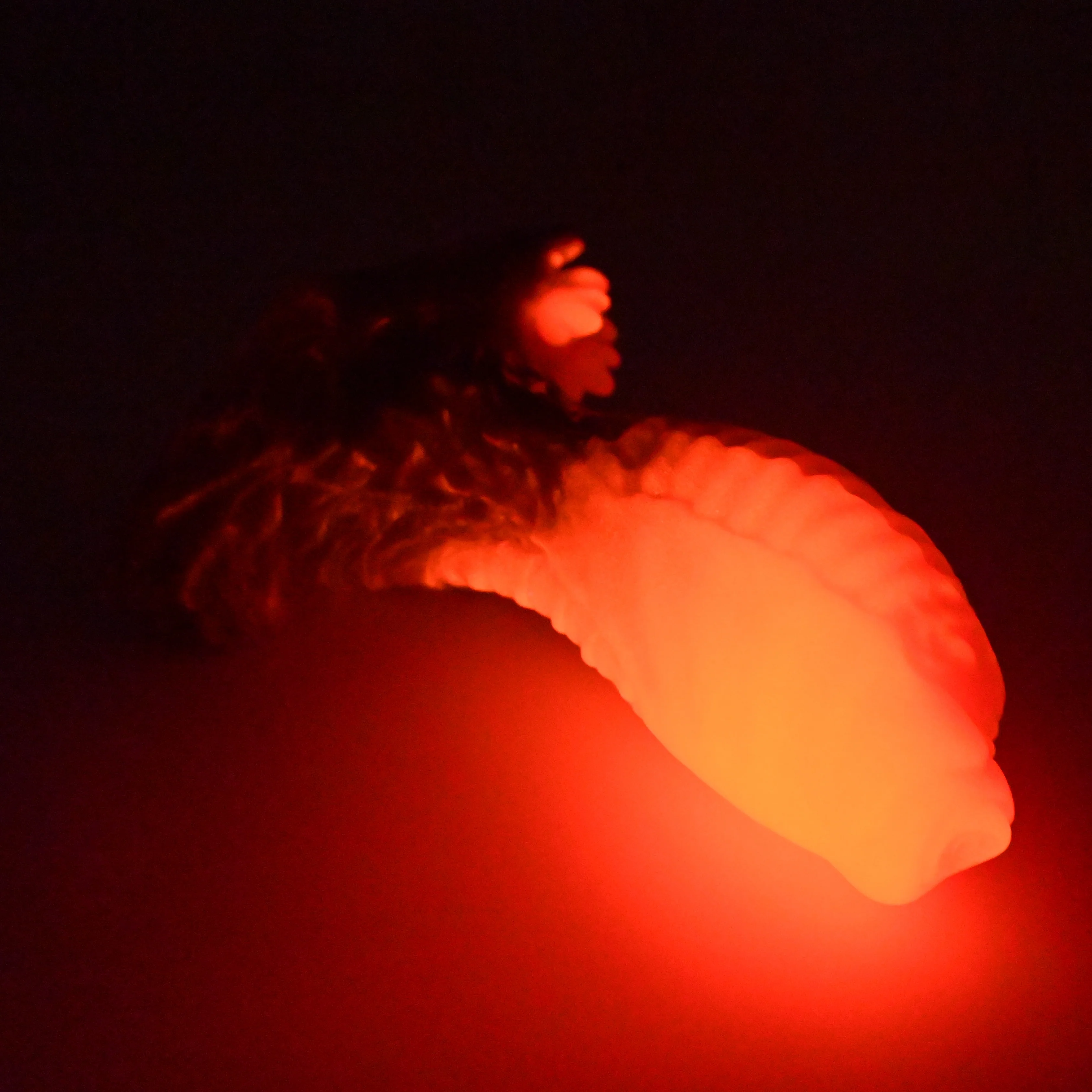 X3SGQ94 Shin Medium 0030 UV GITD - Image 4
