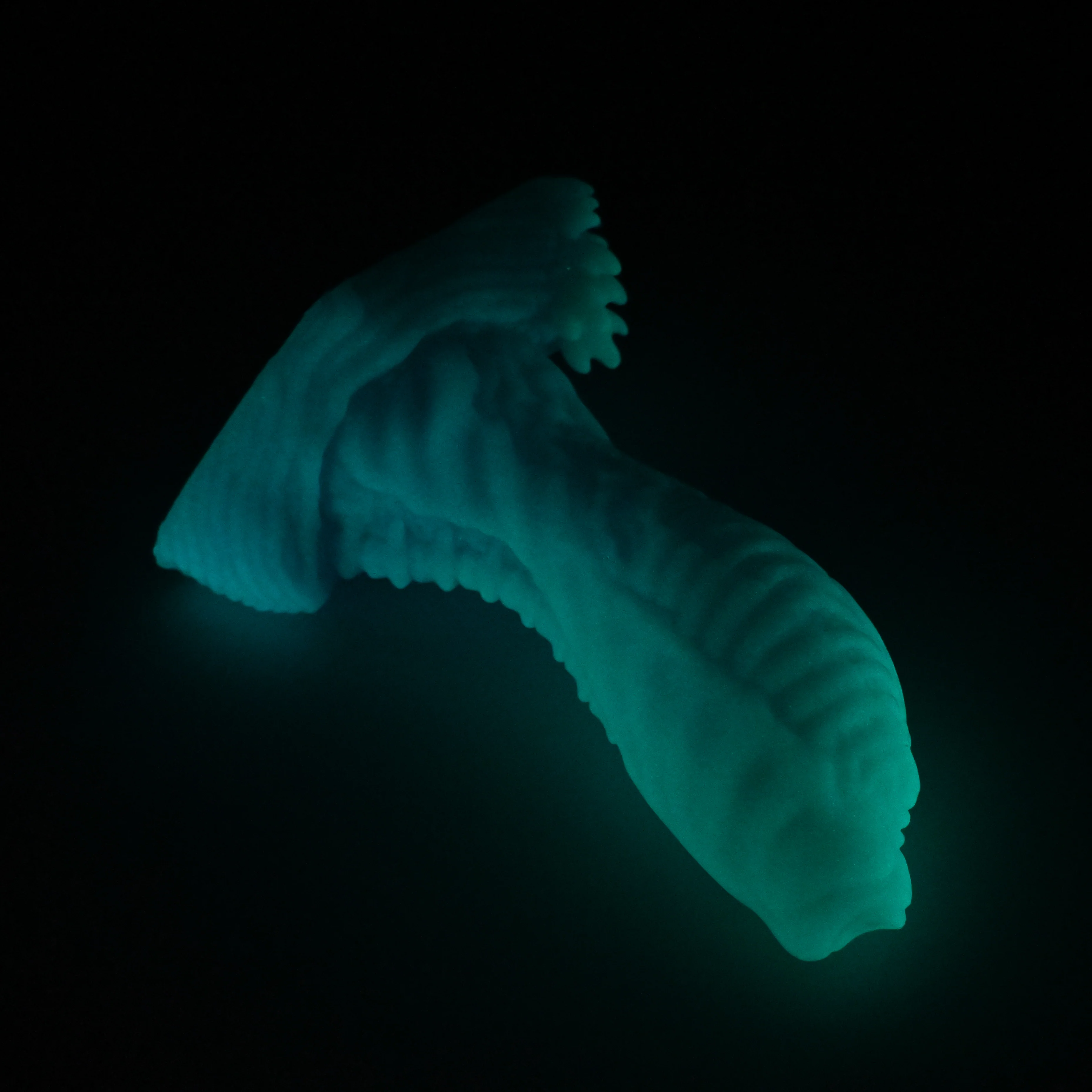 X3SJK51 Shin Medium 0030 UV GITD - Image 4