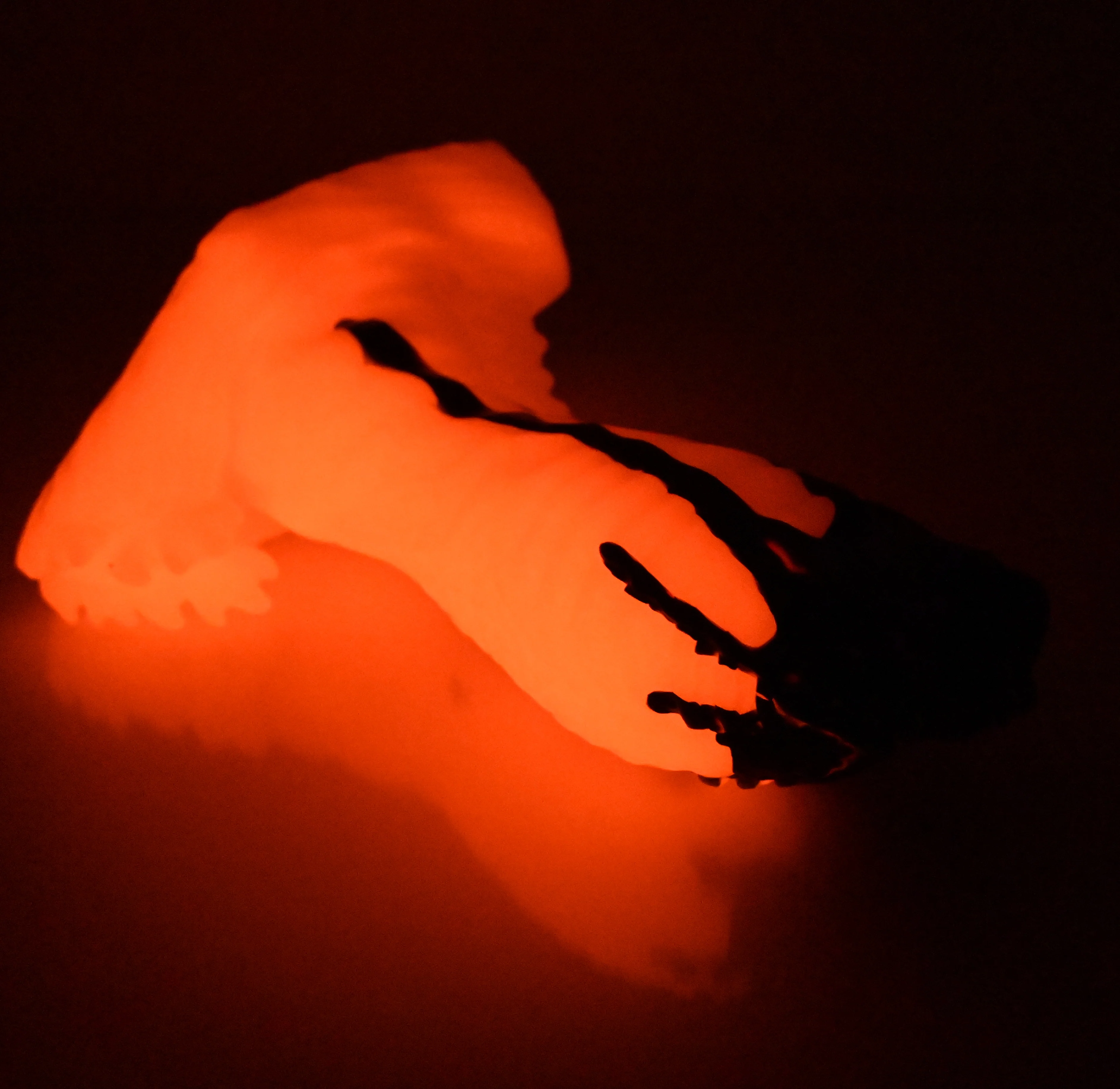 X3SED68 Shin Medium 0030 UV GITD - Image 4