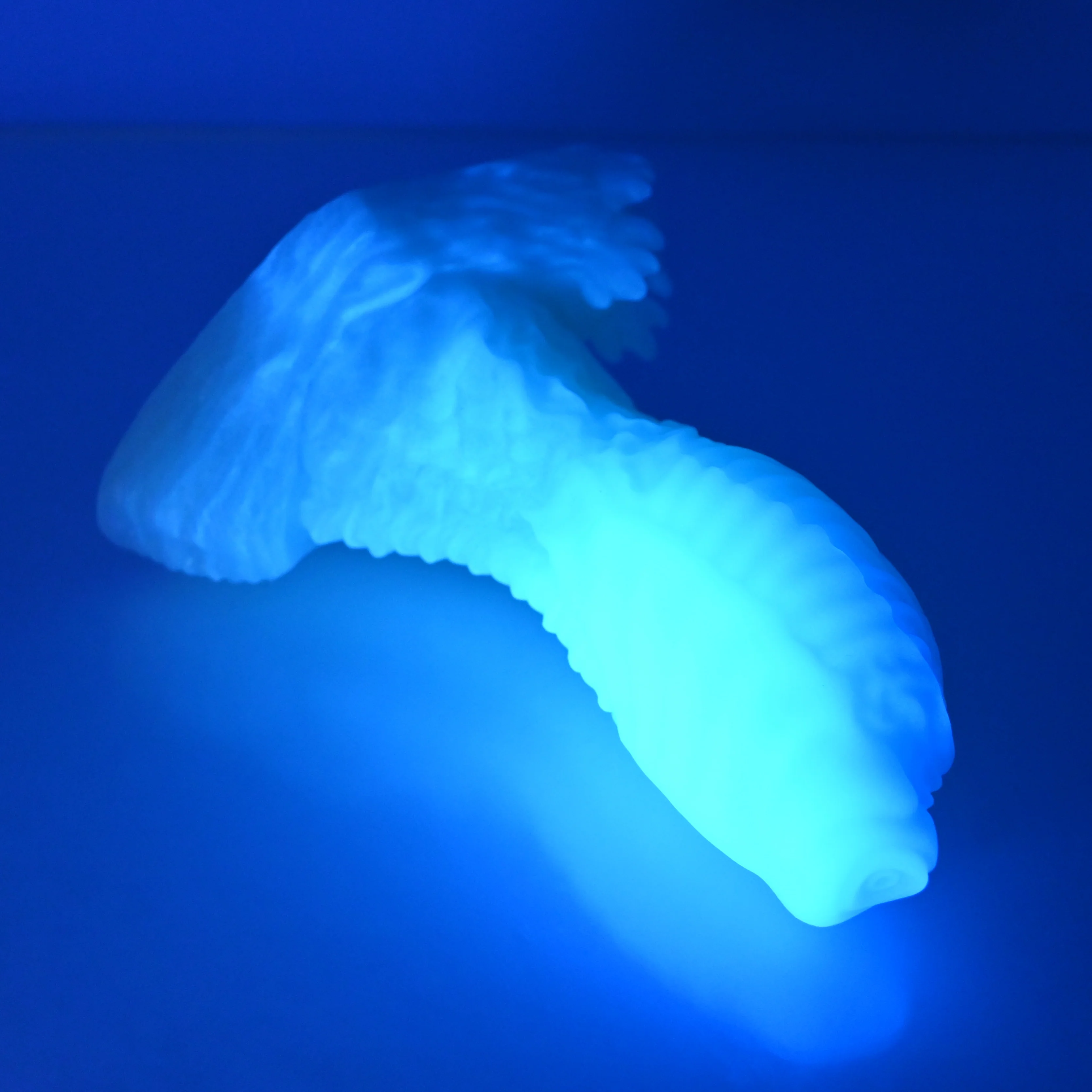 X2MFD21 Shin Small 0050 UV GITD - Image 3
