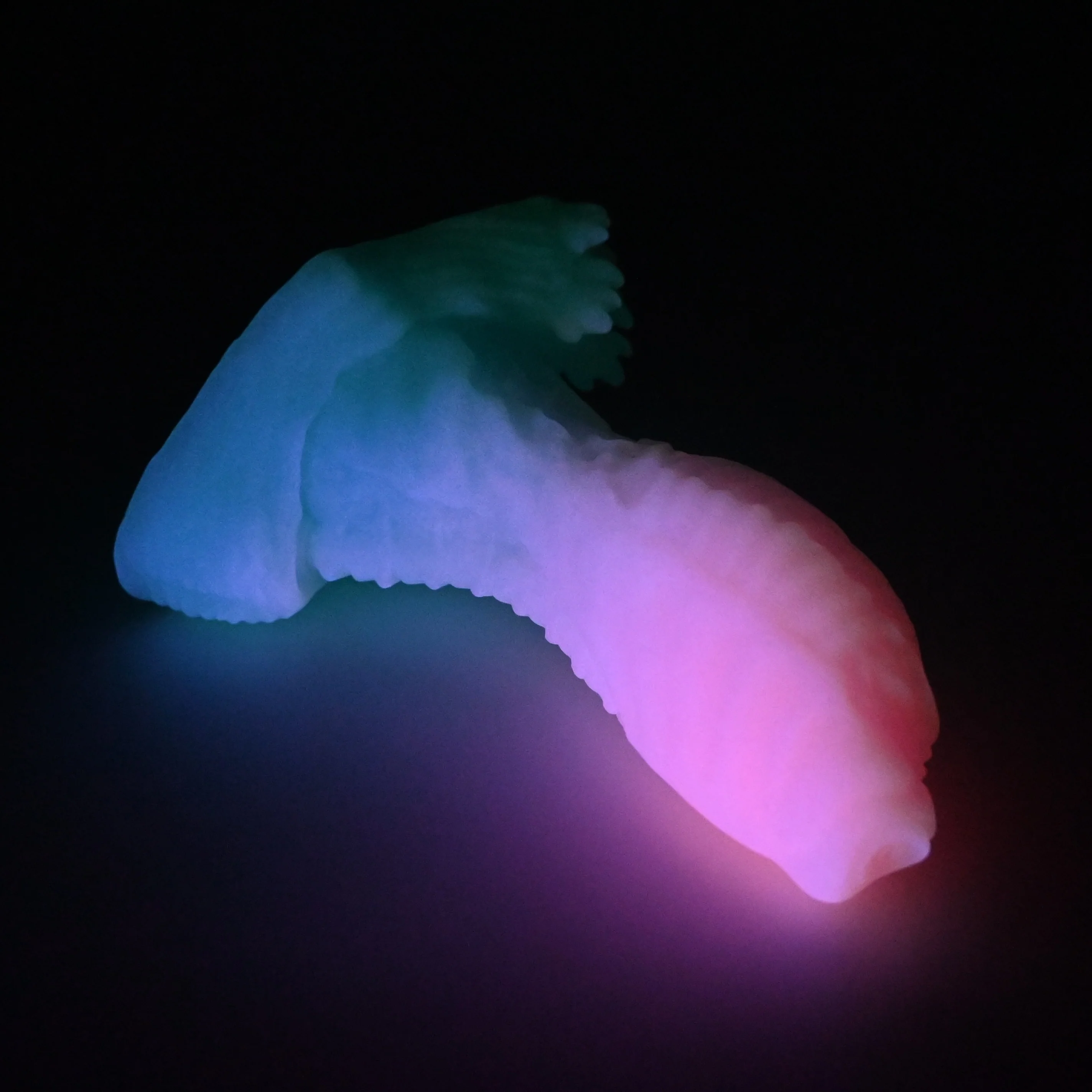 X2SGS87 Shin Small 0030 UV GITD - Image 4