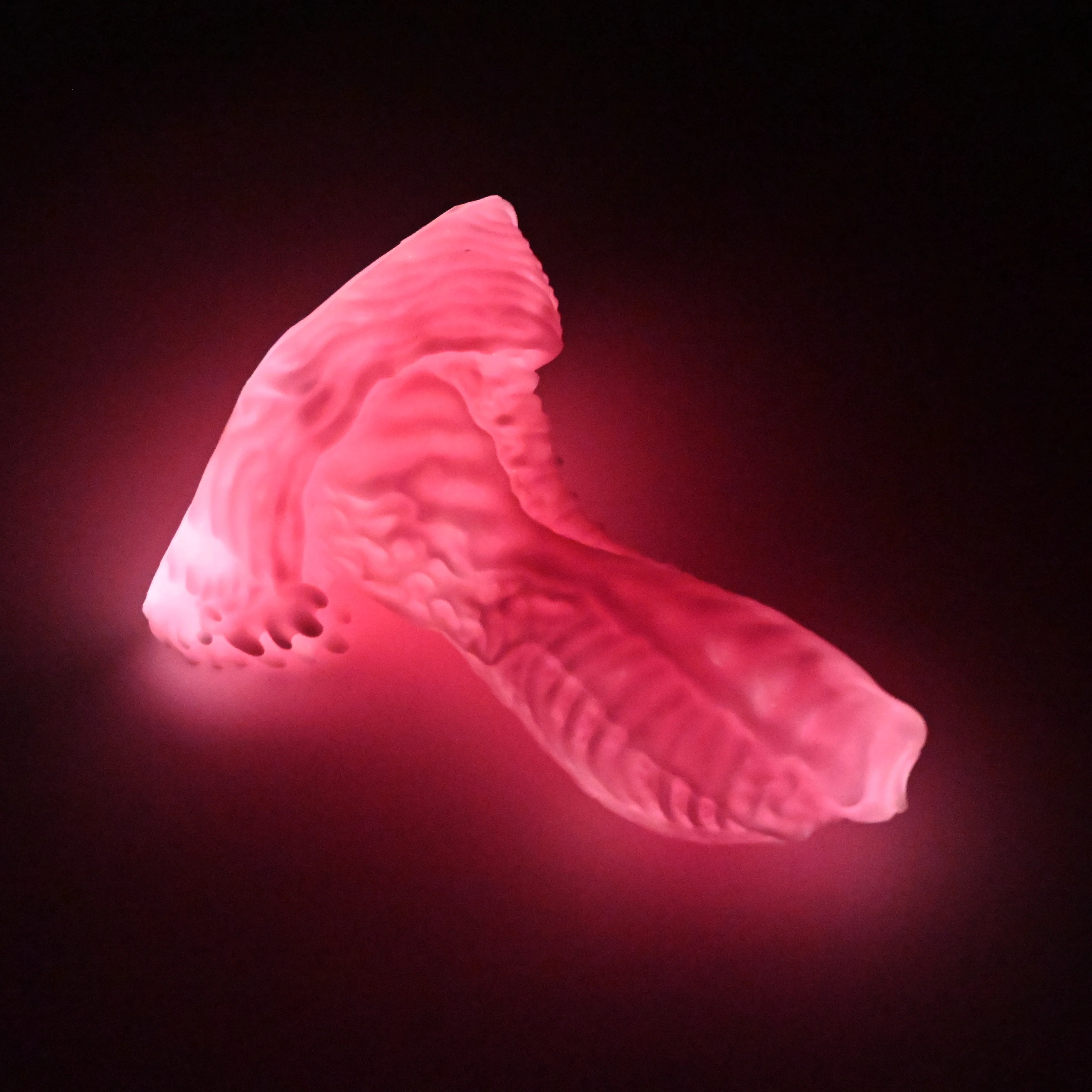 X2MHL66 Shin Small 0050 UV GITD - Image 4