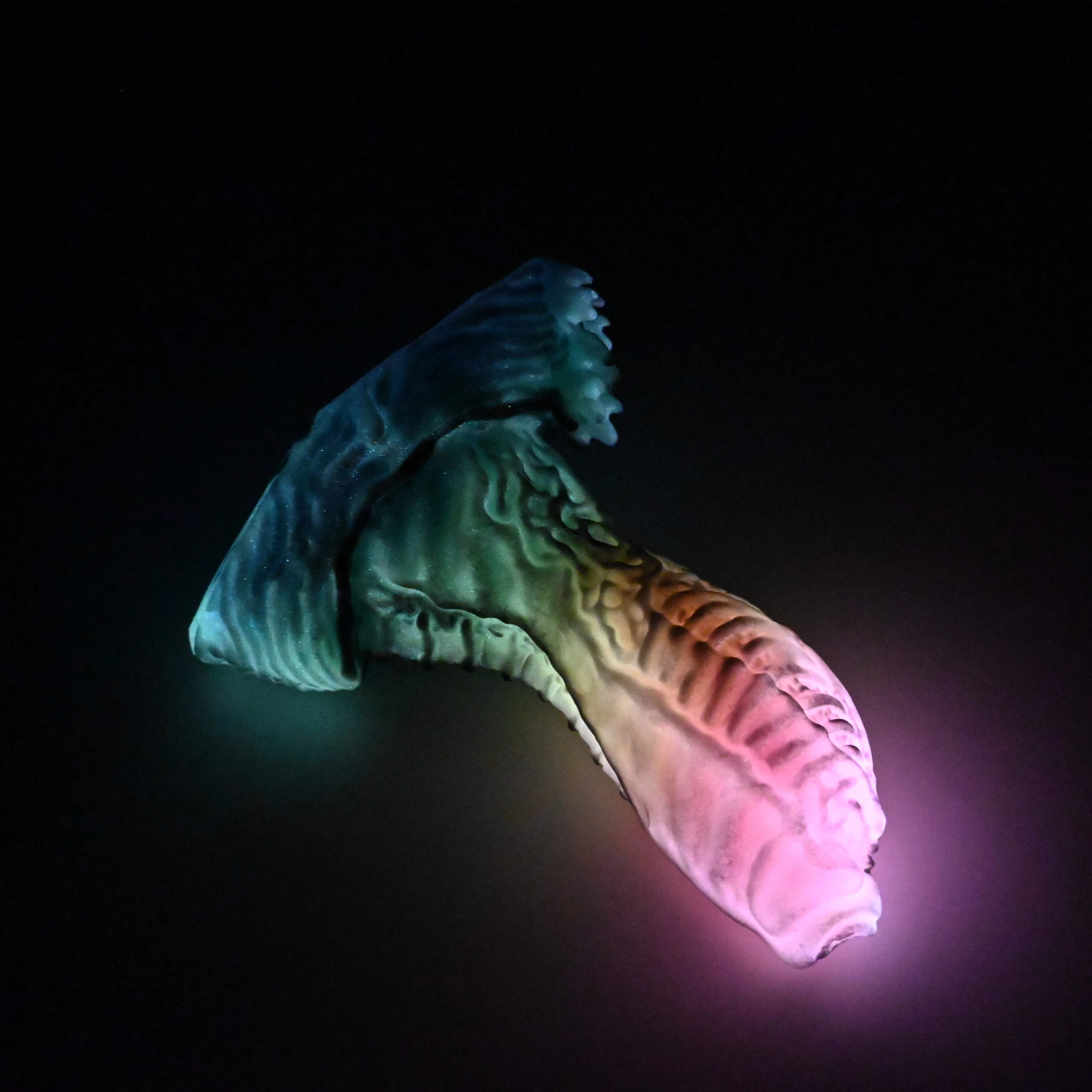 X2SHN26 Shin Small 0030 UV GITD - Image 4