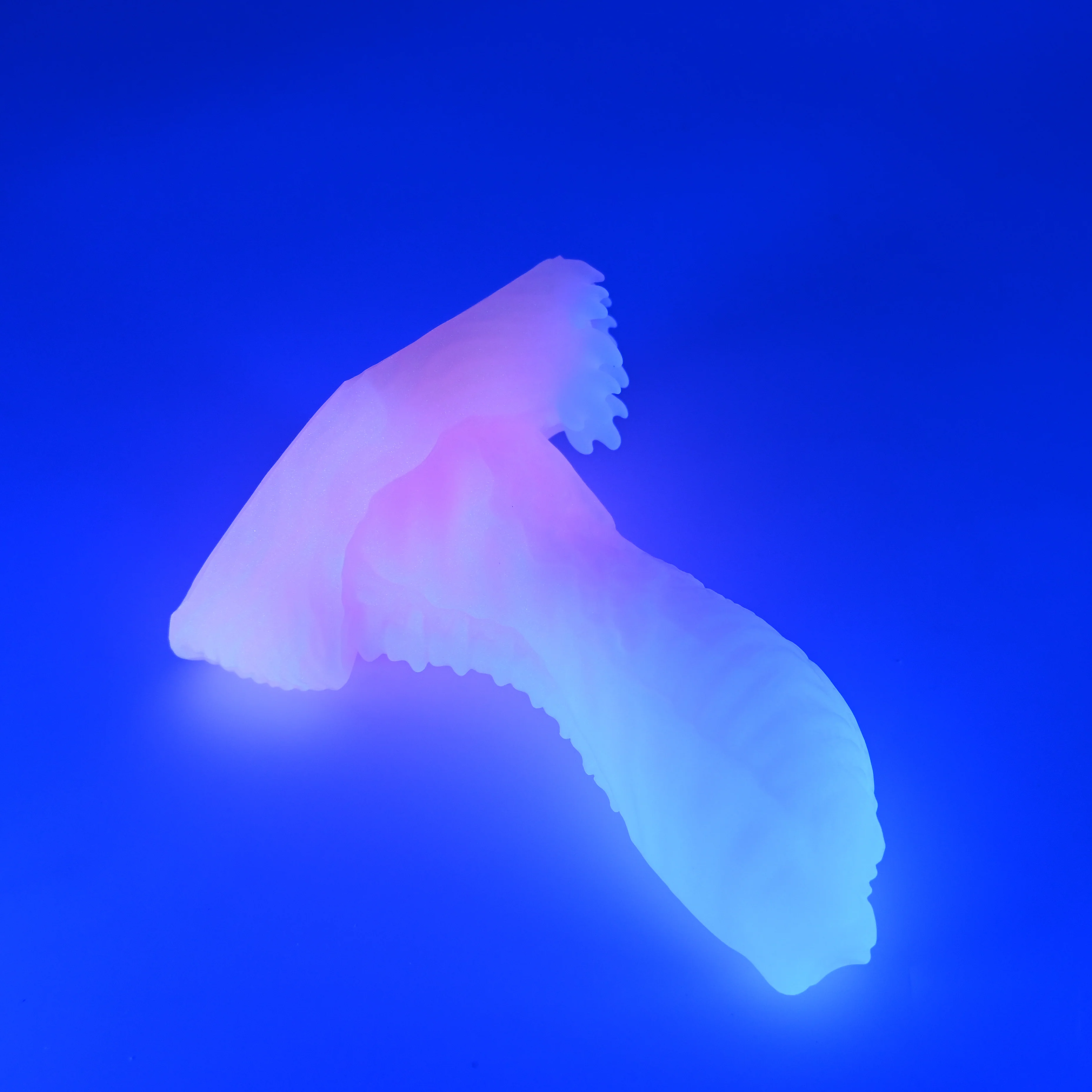 X2XJK47 Shin Small 0020 UV GITD - Image 3