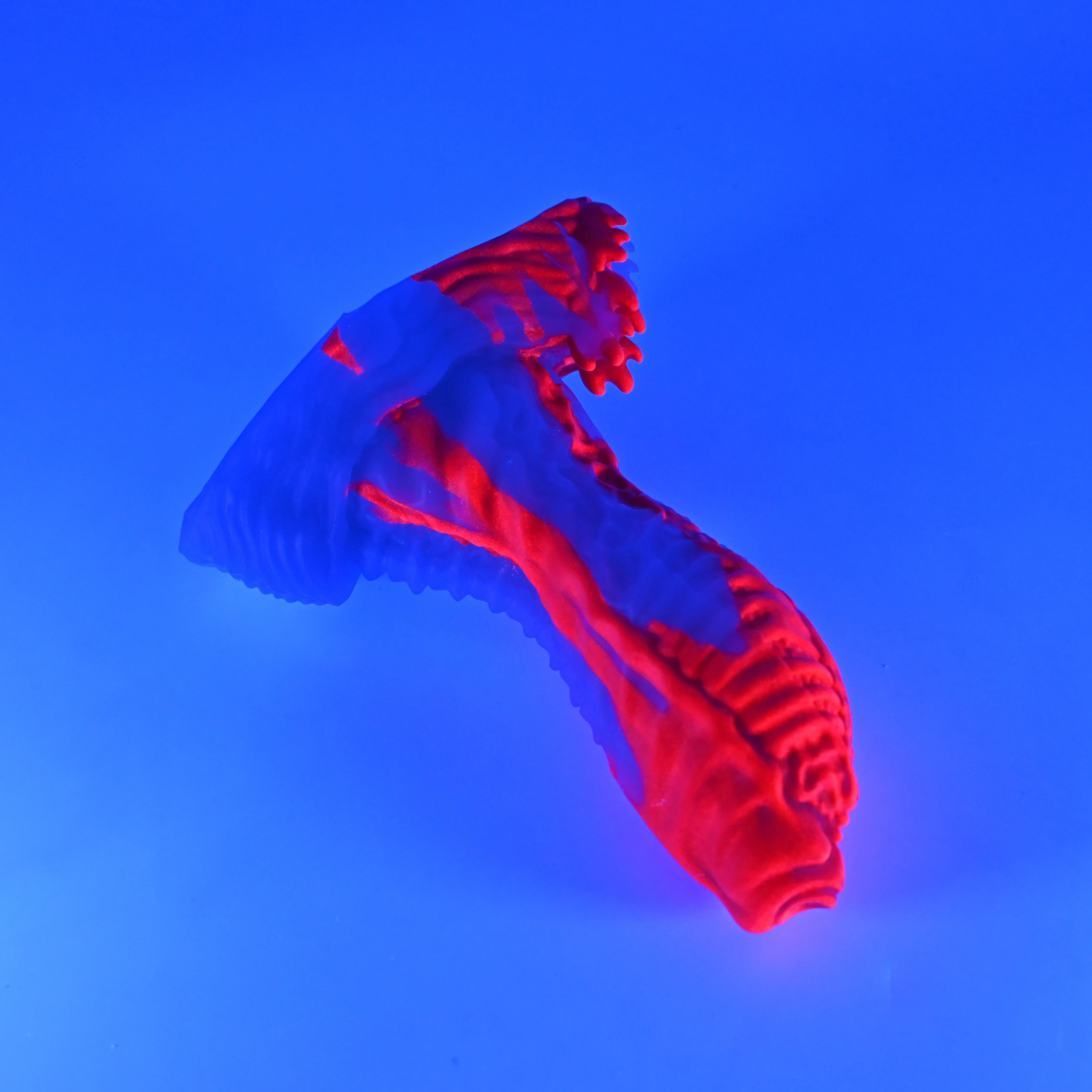 X2SJK48 Shin Small 0030 UV GITD - Image 3