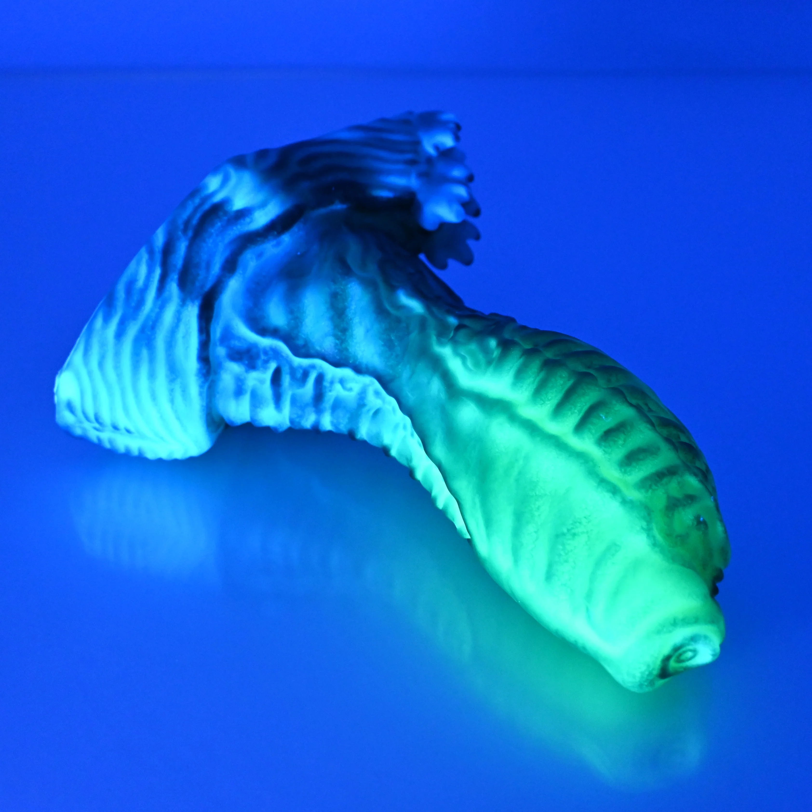 X2SED59 Shin Small 0030 UV GITD - Image 3