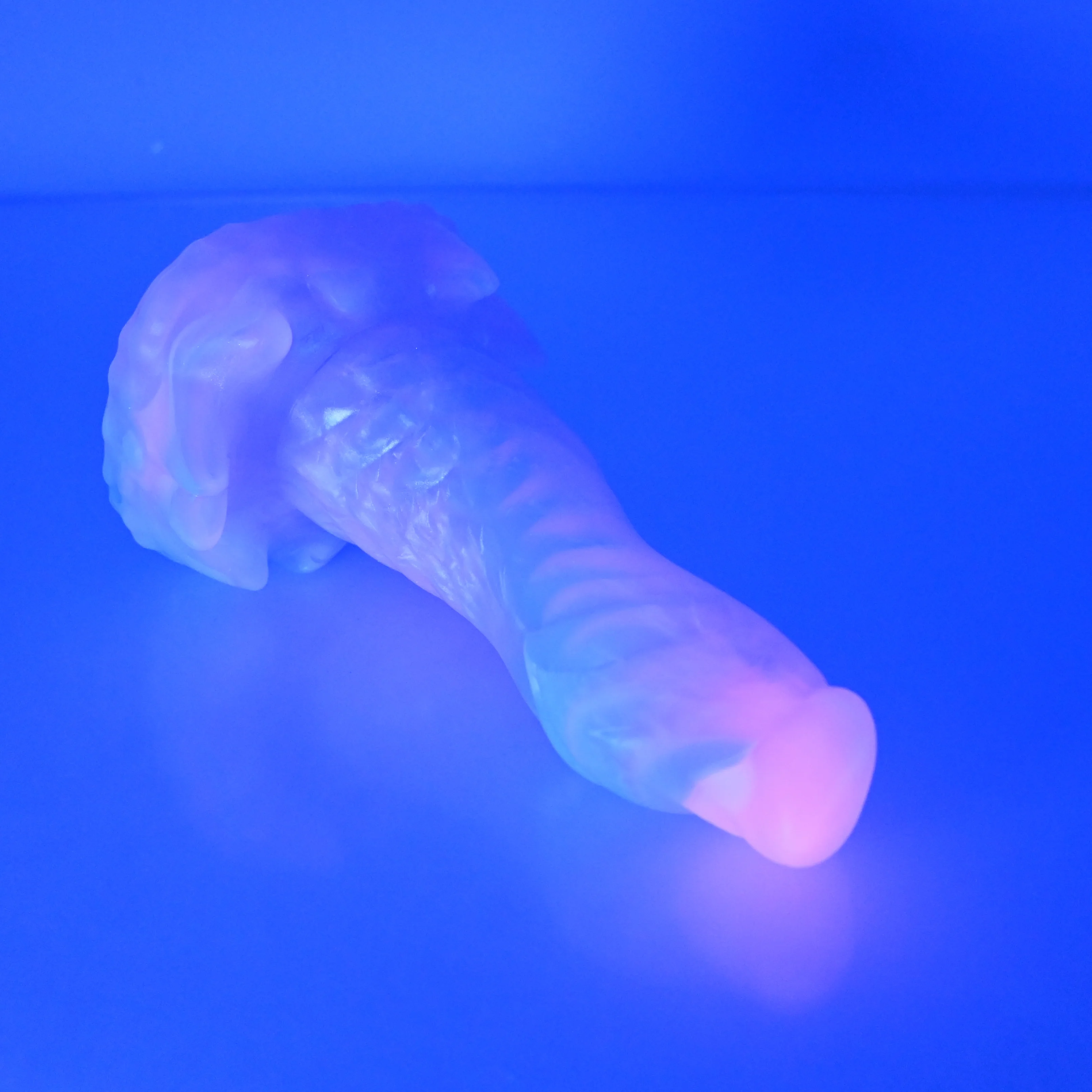 S2TBZ33 Snark Small NC 0031 UV - Image 4