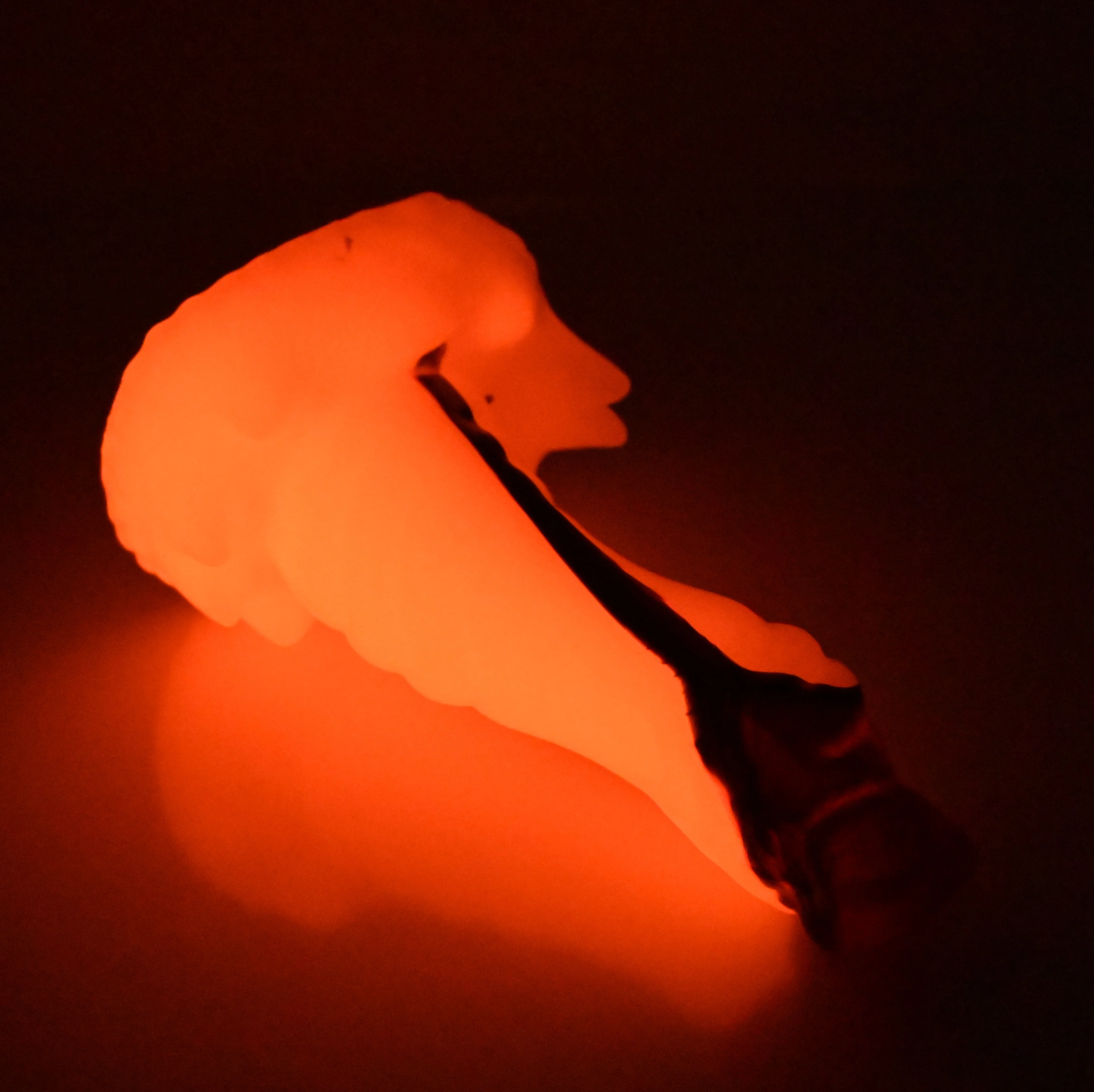 S2MEL79 Snark Small 0050 UV GITD - Image 4
