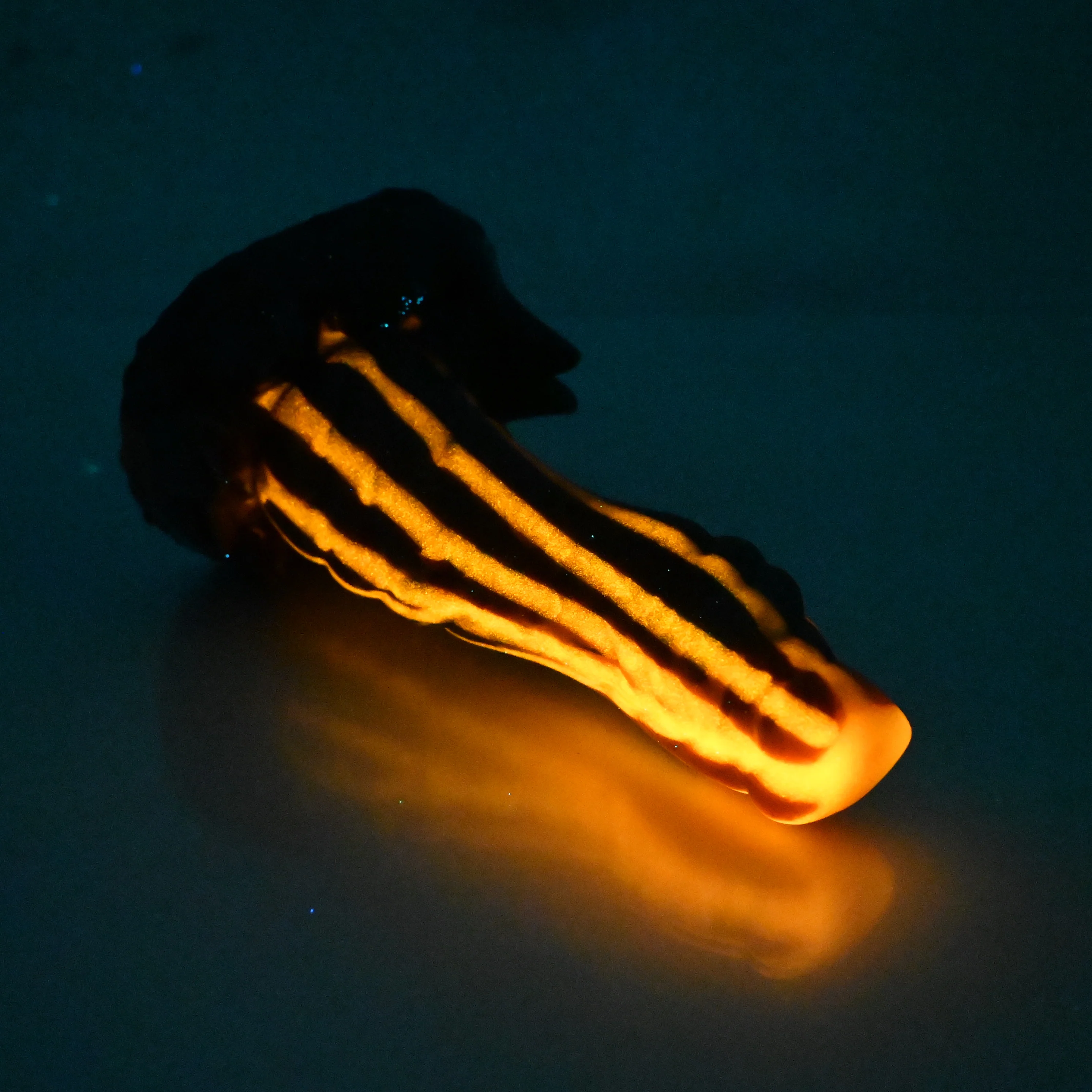 S2MCT07 Snark Small 0050 UV GITD - Image 4