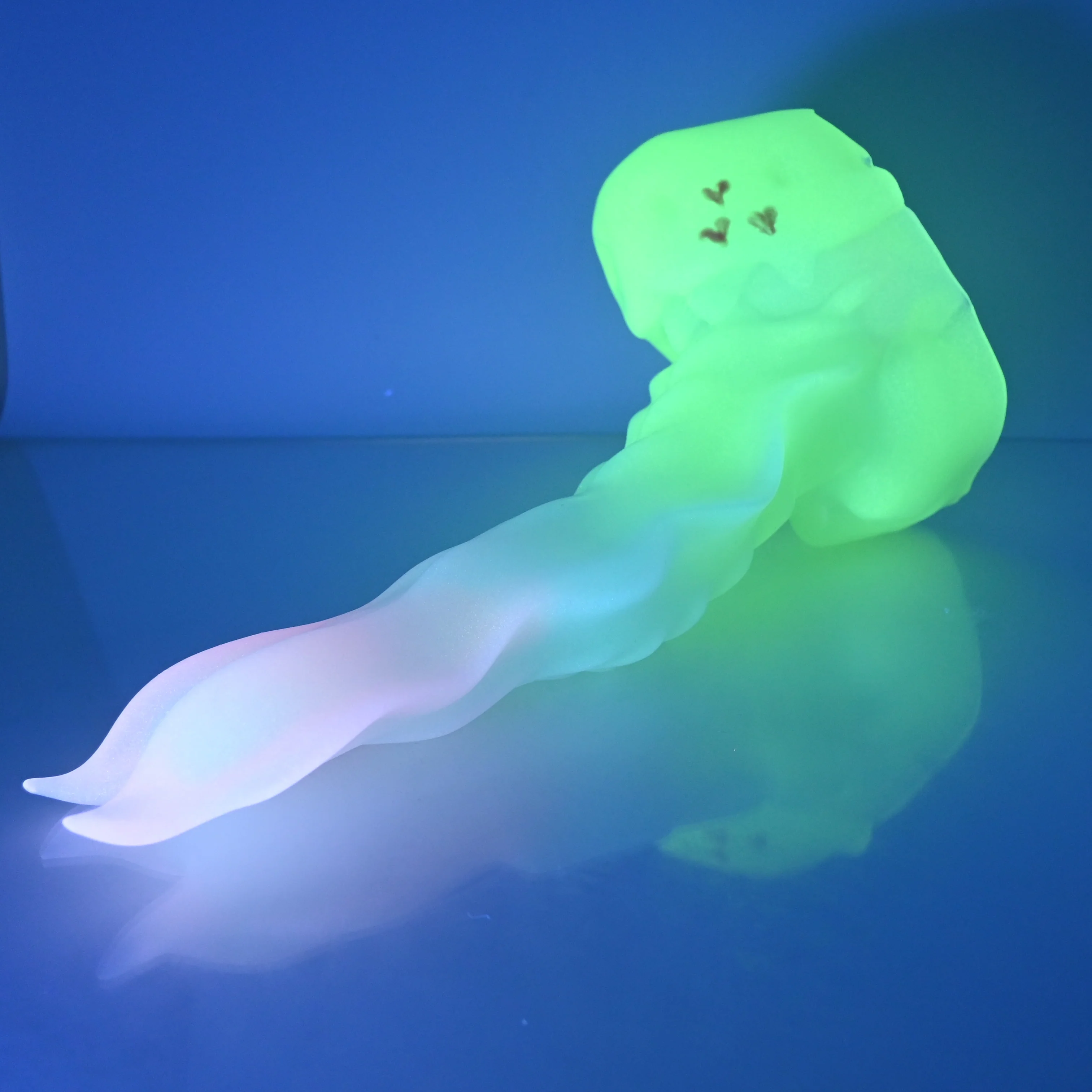 V4NCG09 Snark's Maw Large NC 0045 UV GITD - Image 2