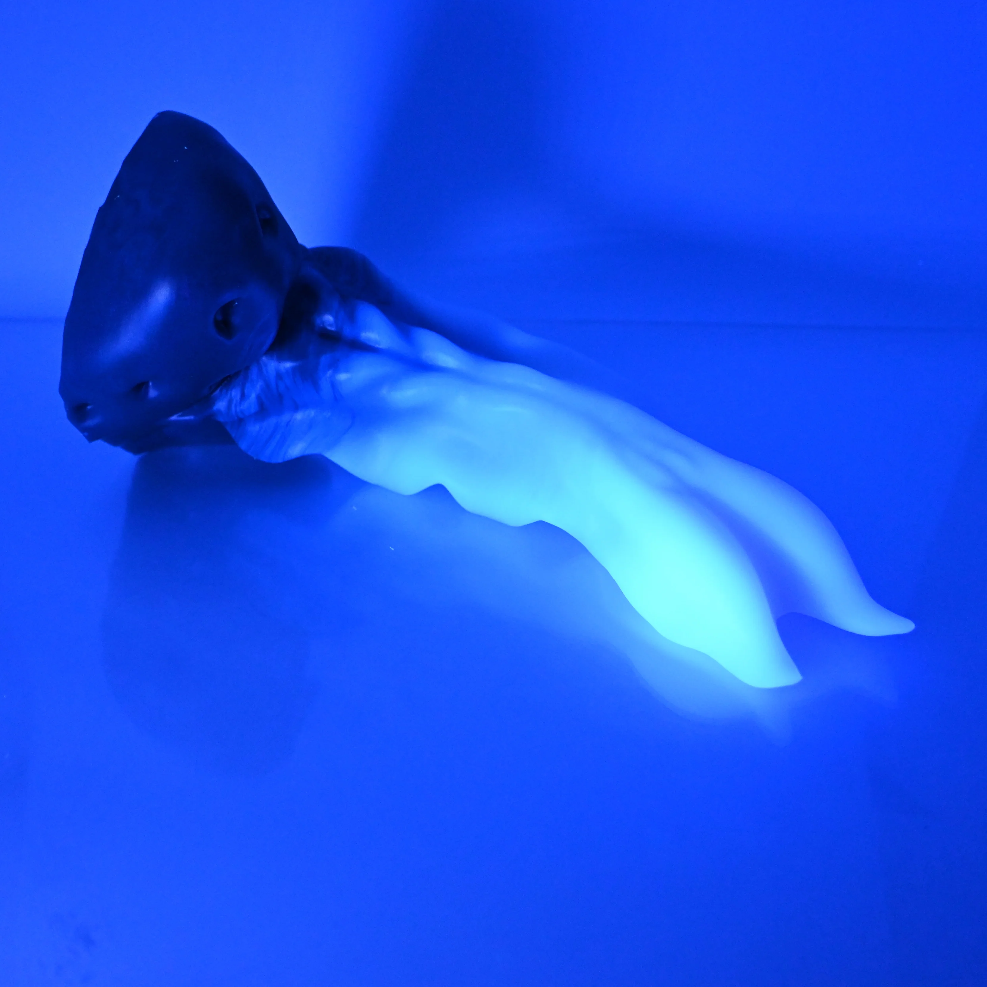 V4SCP41 Snark's Maw Large 0030 UV GITD - Image 3
