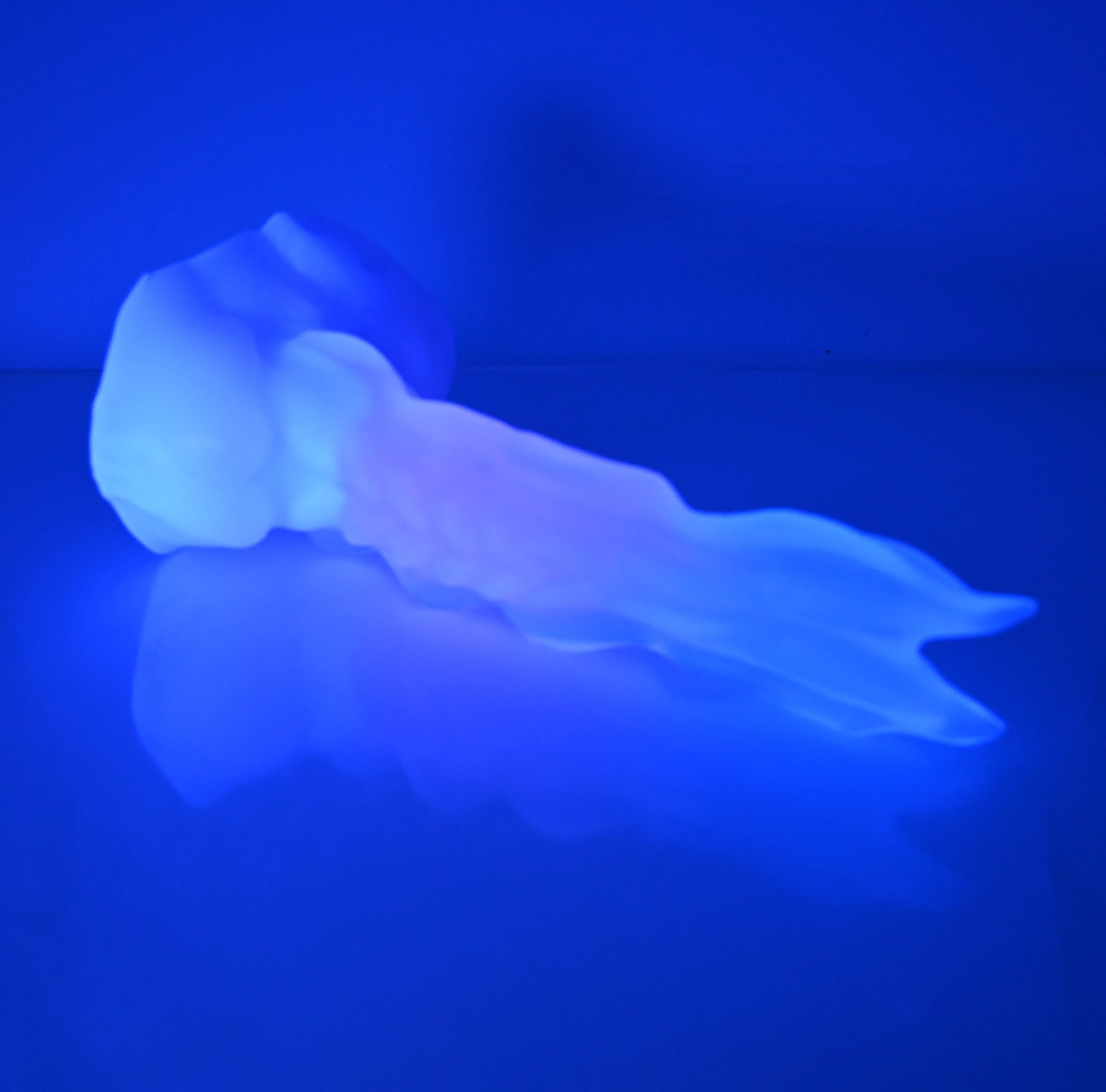 V3NCE49 Snark's Maw Medium NC 0045 UV - Image 3