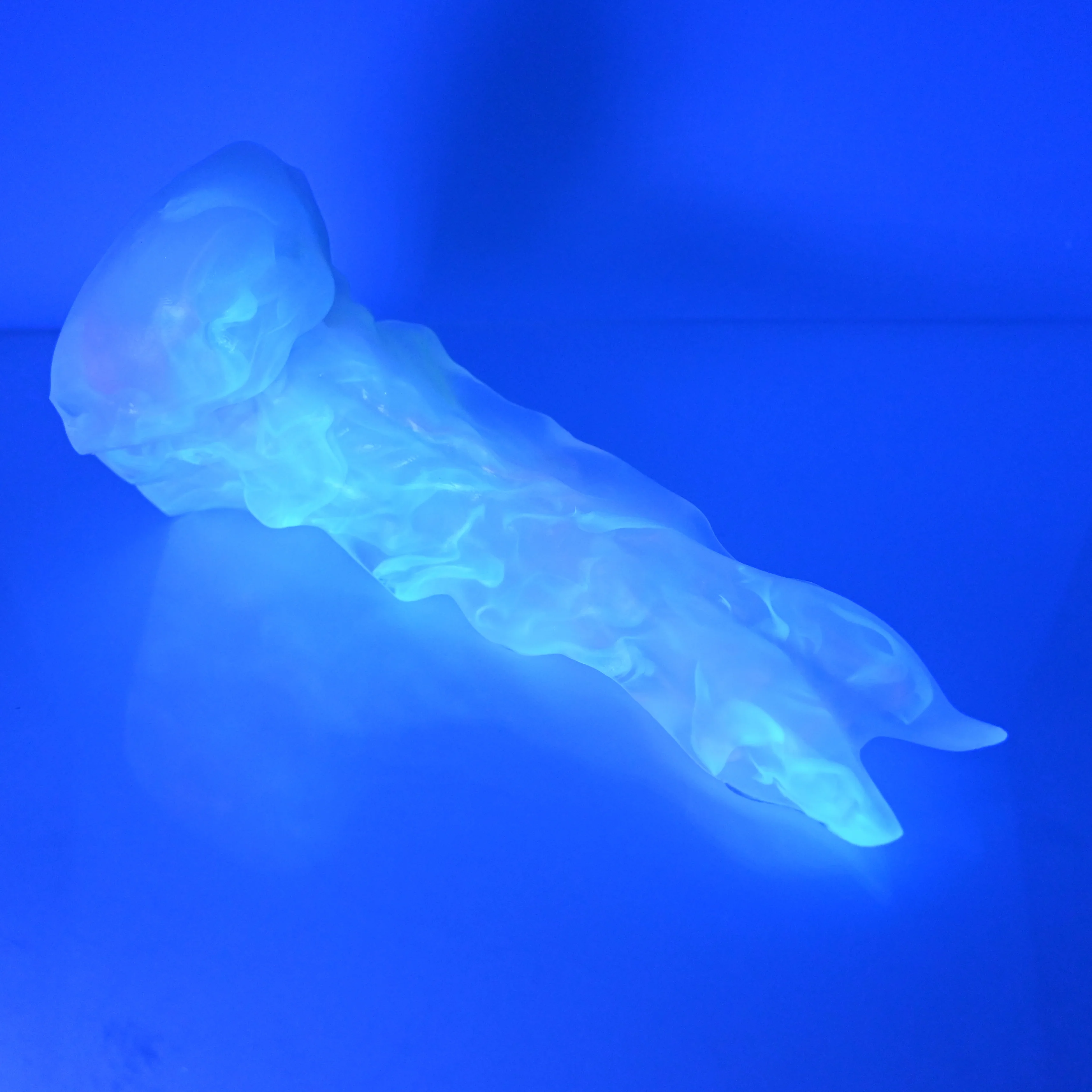 V3NCL42 Snark's Maw Medium NC 0045 UV - Image 4