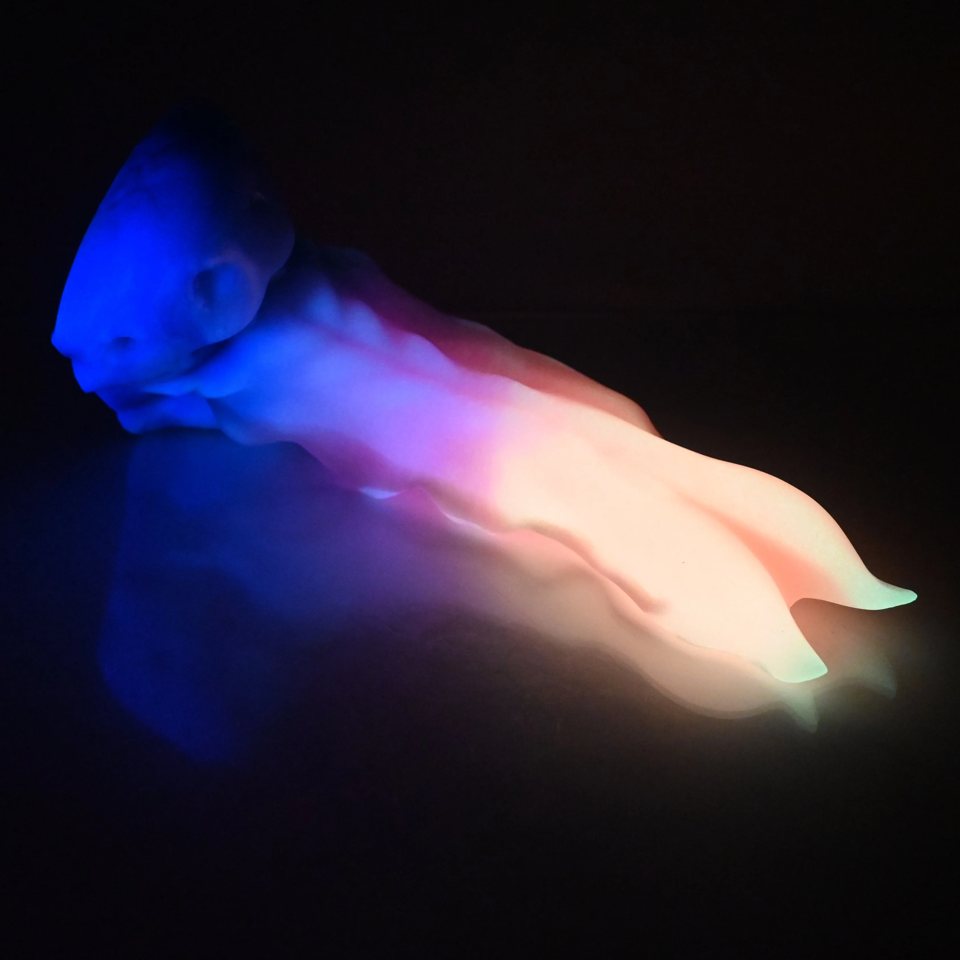 V3MCT21 Snark's Maw Medium 0050 UV GITD - Image 4