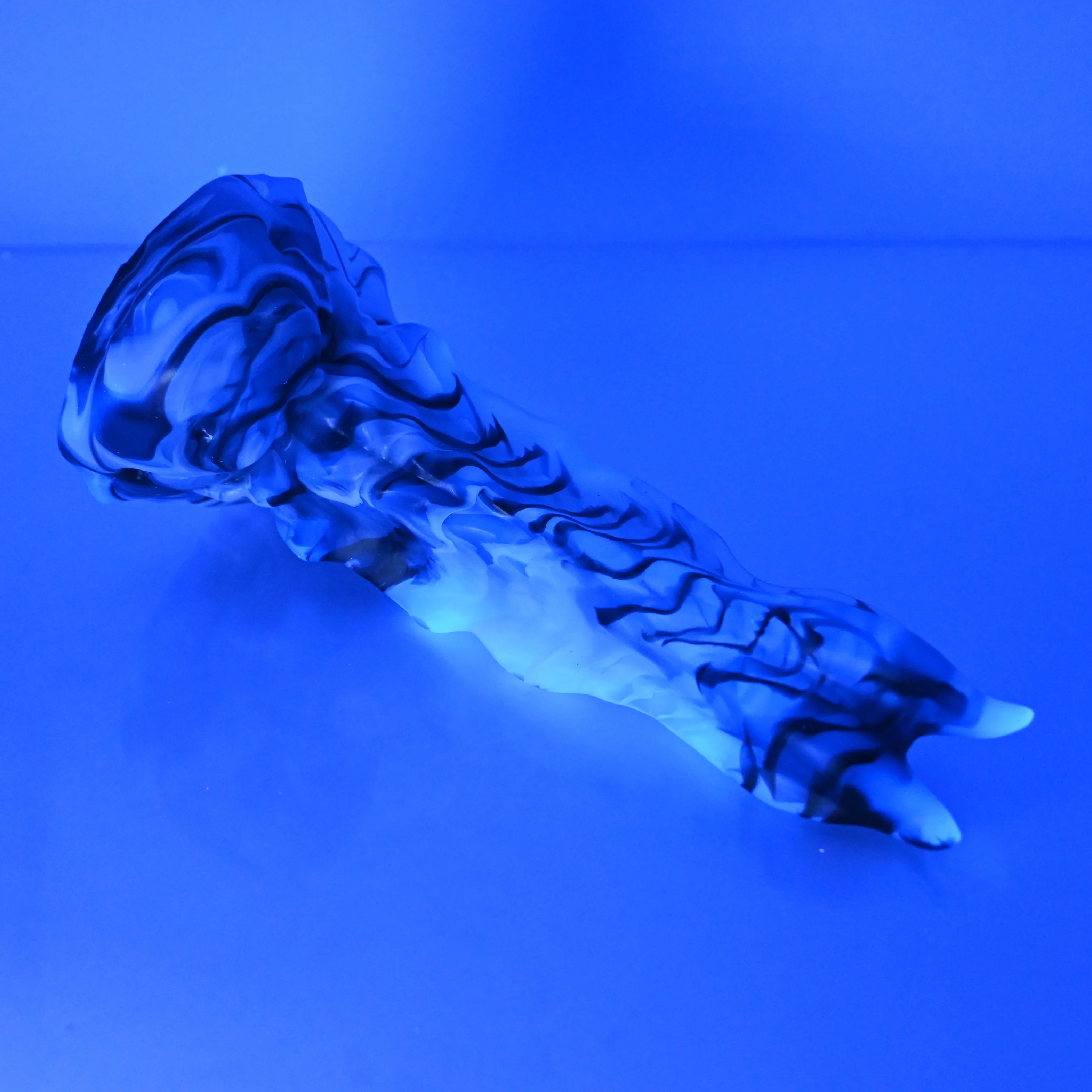 V2NBV37 Snark's Maw Small NC UV - Image 4