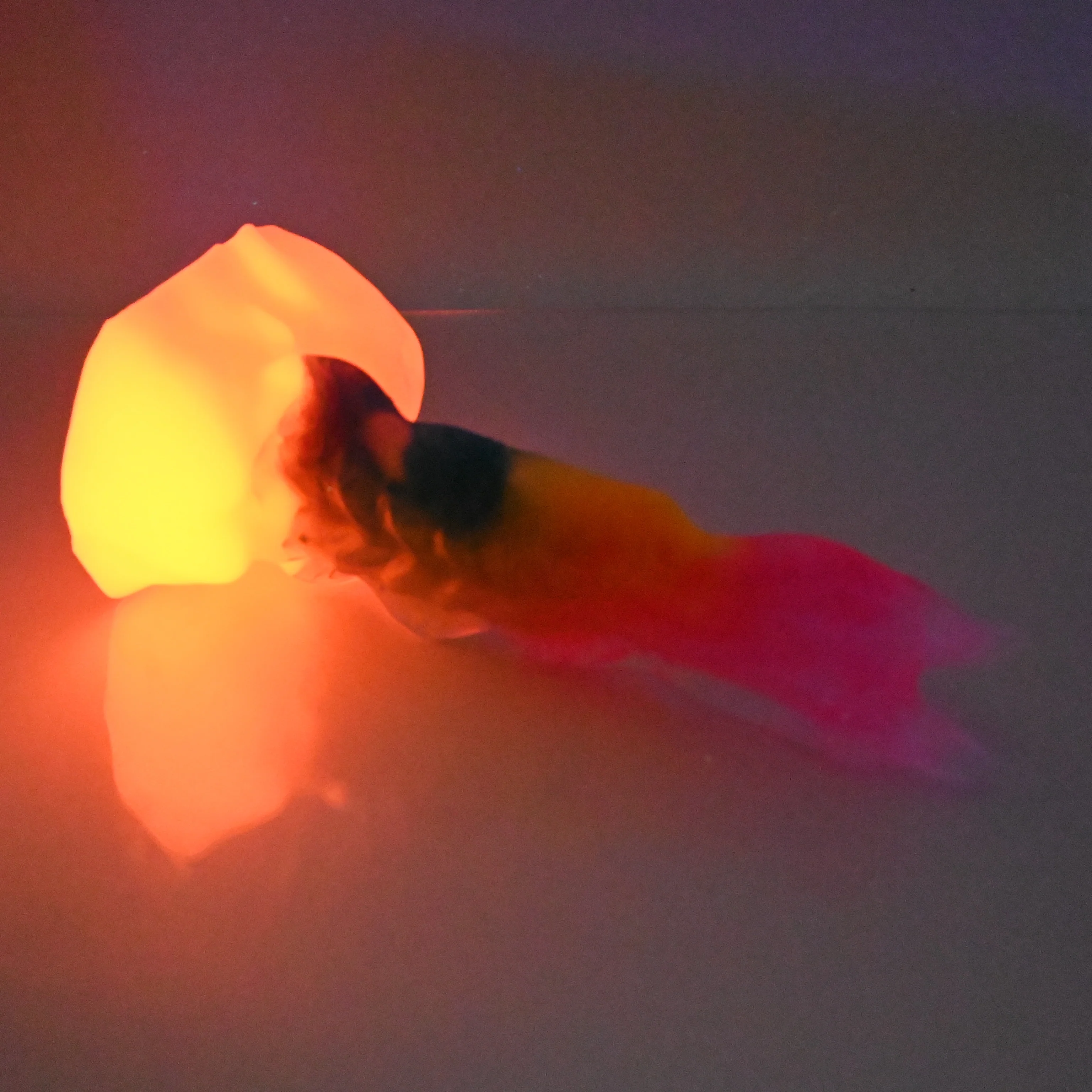 V2TCE37 Snark's Maw Small NC 0031 UV GITD - Image 4