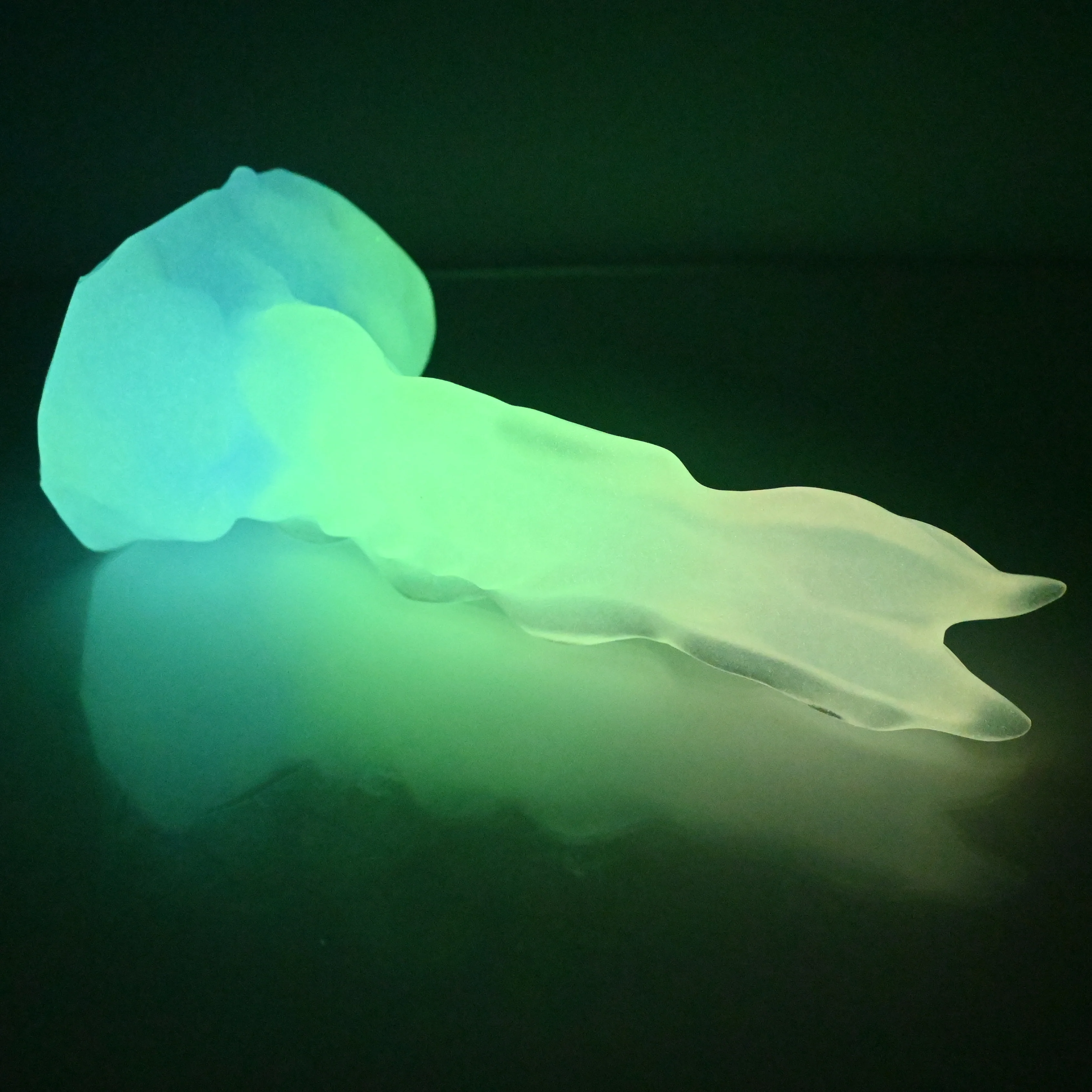 V2TCF89 Snark's Maw Small NC 0031 UV GITD - Image 4