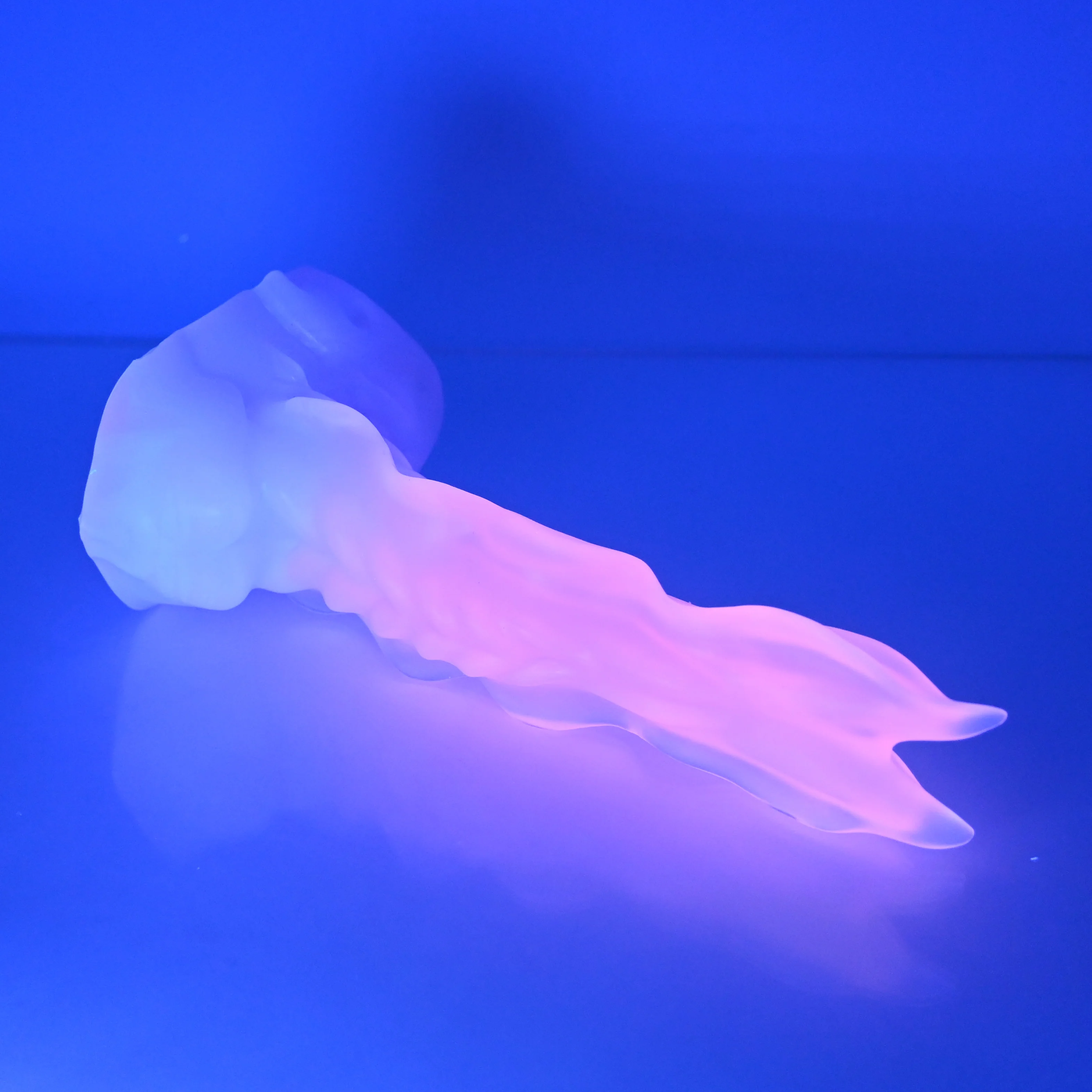 V2NBW72 Snark's Maw Small NC 0045 UV - Image 3