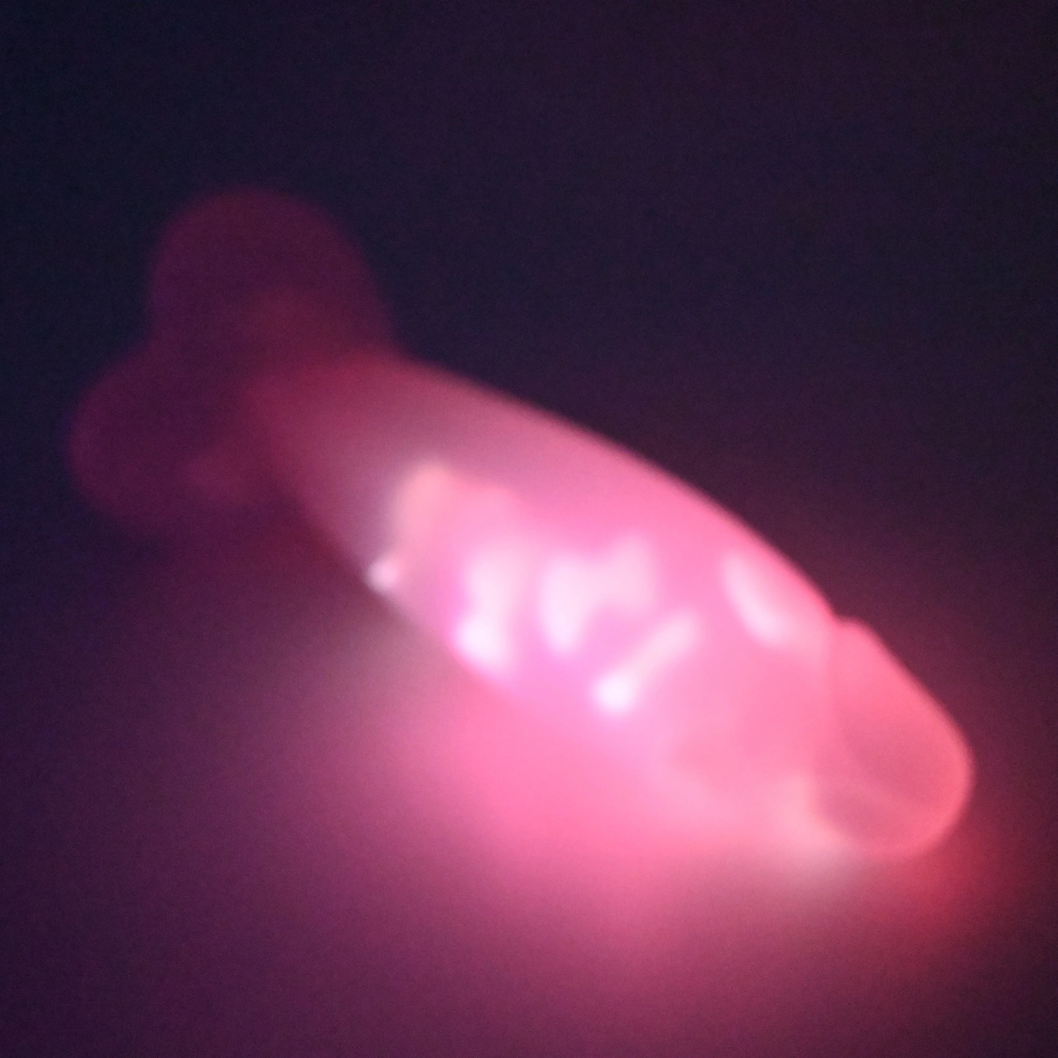 W3TGC13 Tellus Medium* NC 0031 UV GITD - Image 4