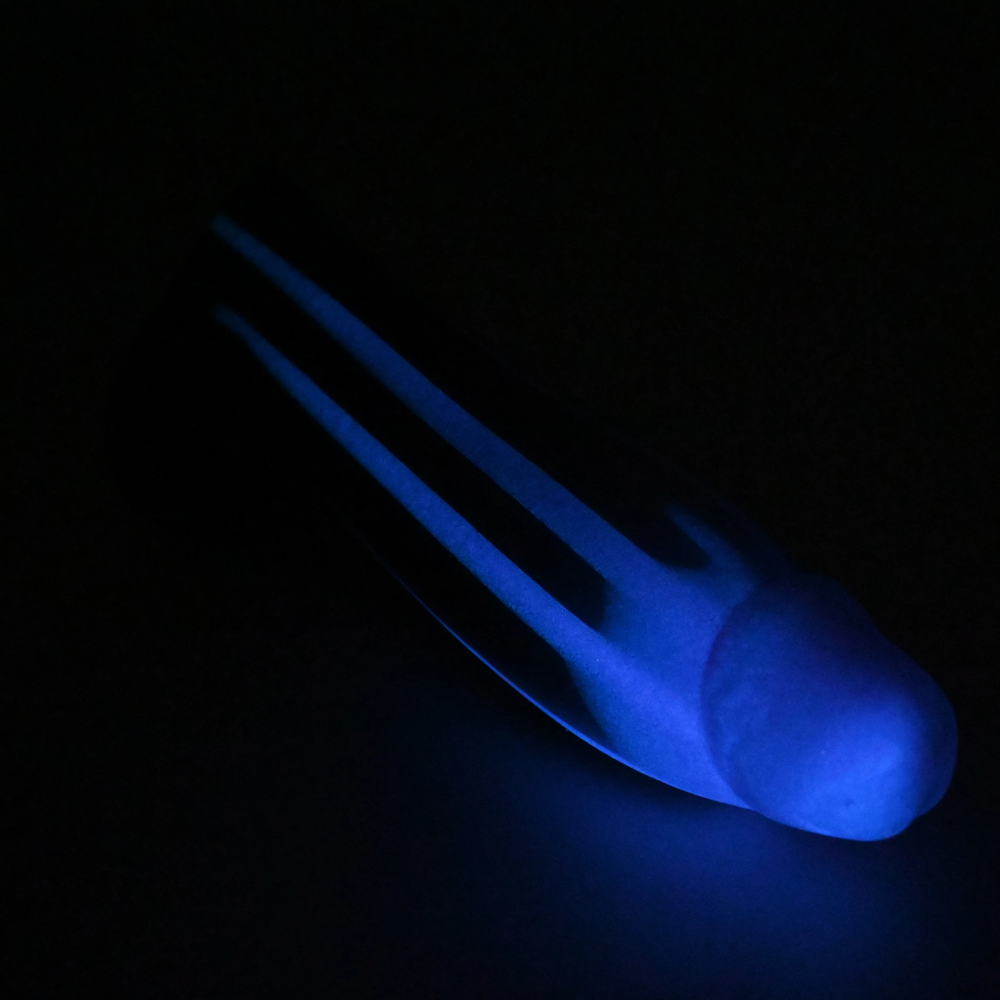 W3XGQ74 Tellus Medium* 0020 UV GITD CS - Image 4