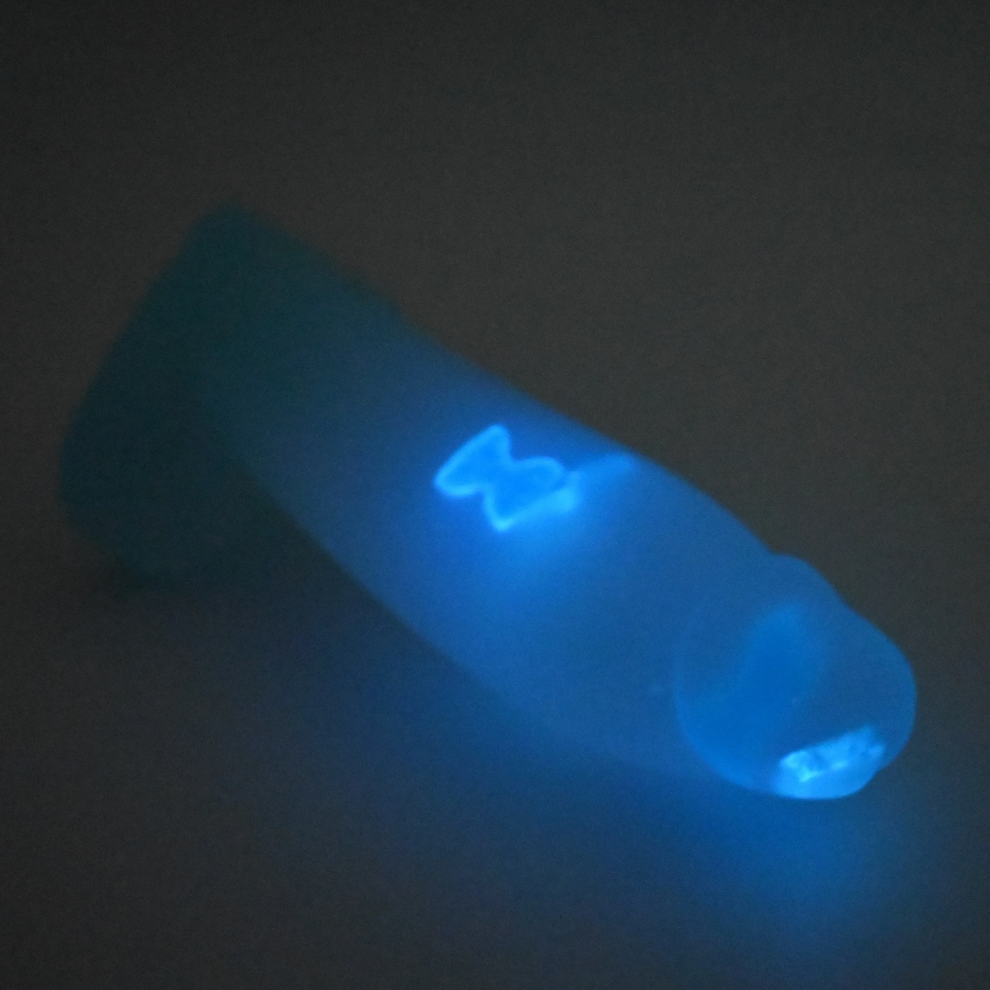 W2TGC05 Tellus Small NC 0031 UV GITD - Image 4