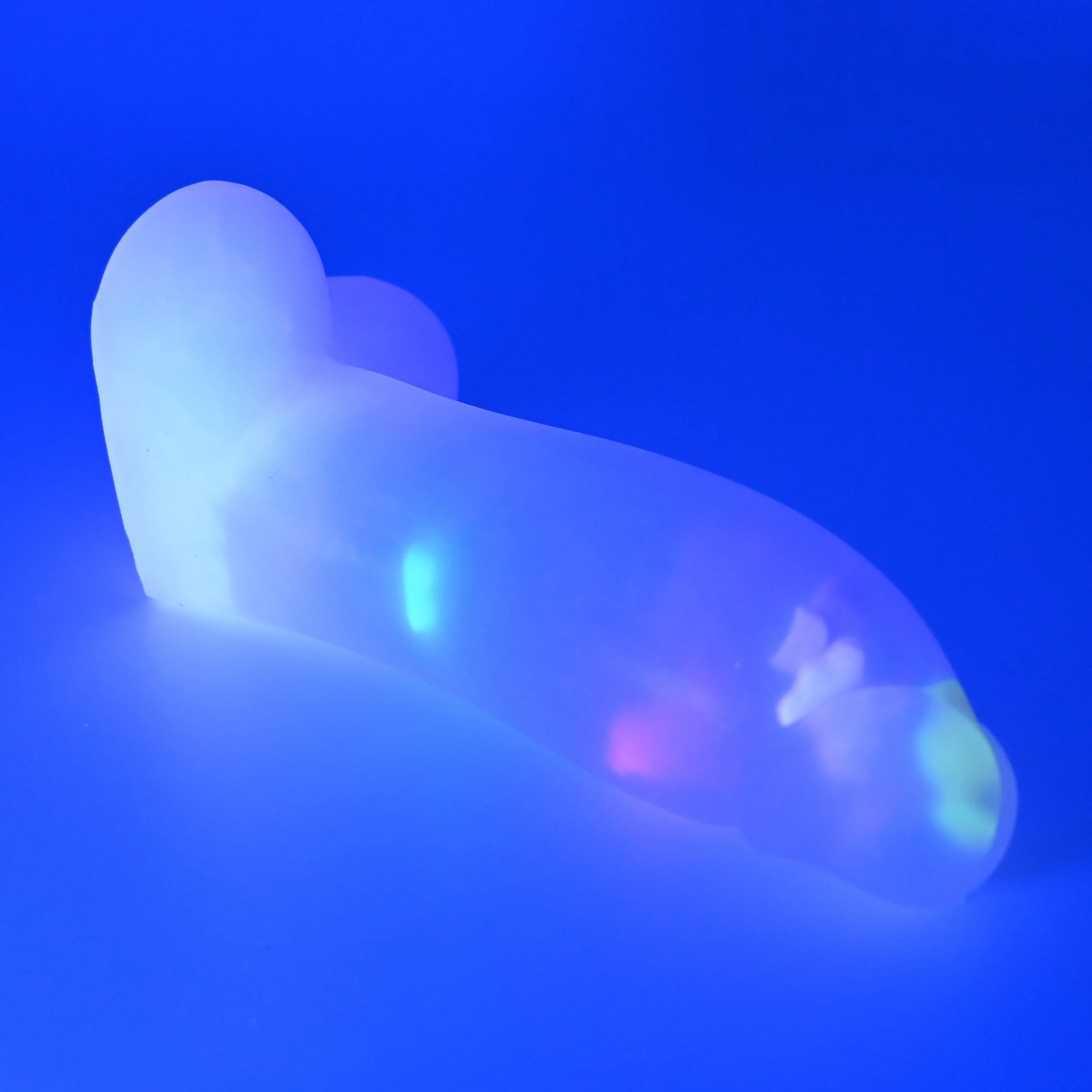 W2TGS69 Tellus Small NC 0031 UV GITD CS - Image 3