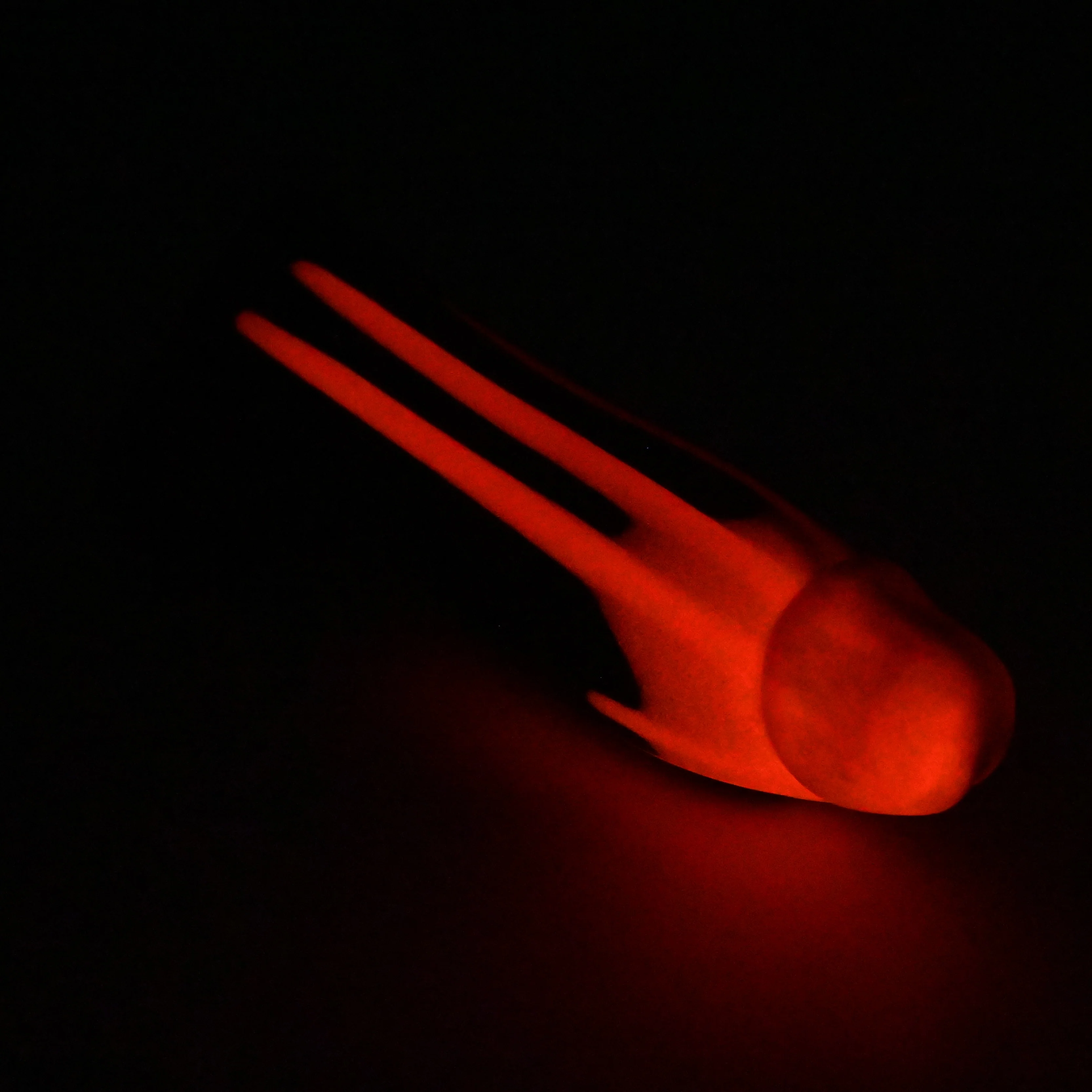 W2MGS61 Tellus Small 0050 UV GITD - Image 4