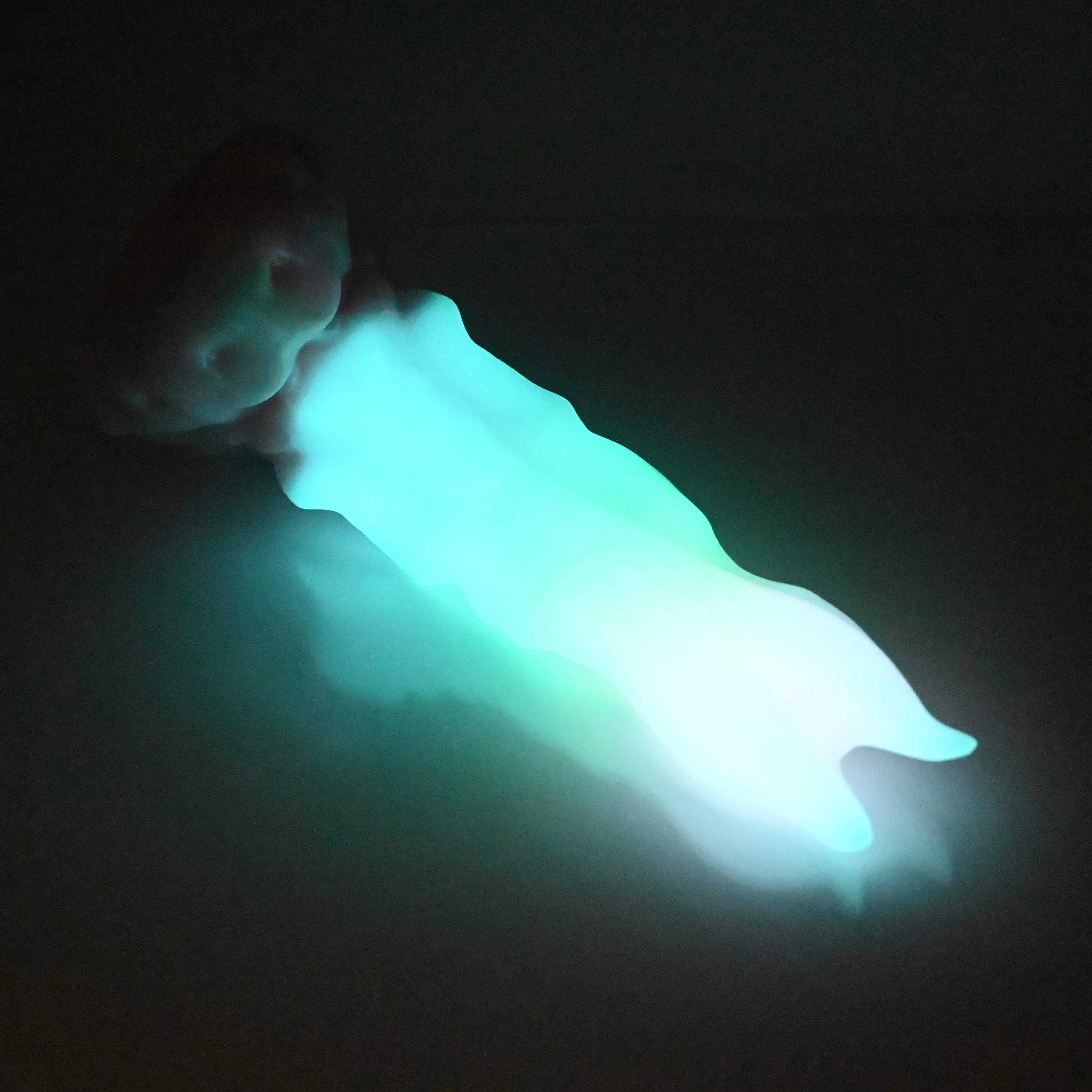 V2MBJ61 Snark's Maw Small Medium UV GITD - Image 3